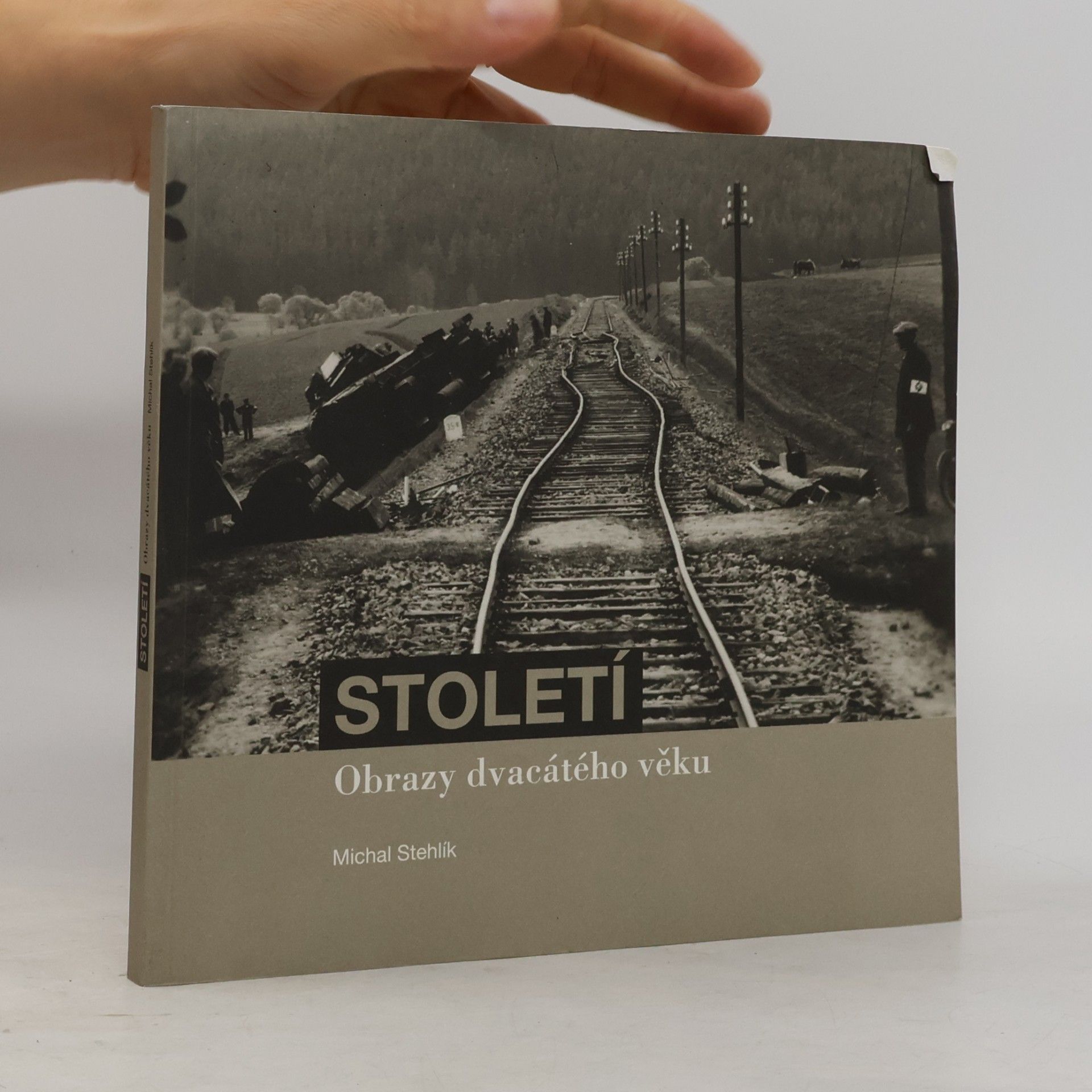 Michal Stehlík Století : obrazy dvacátého věku