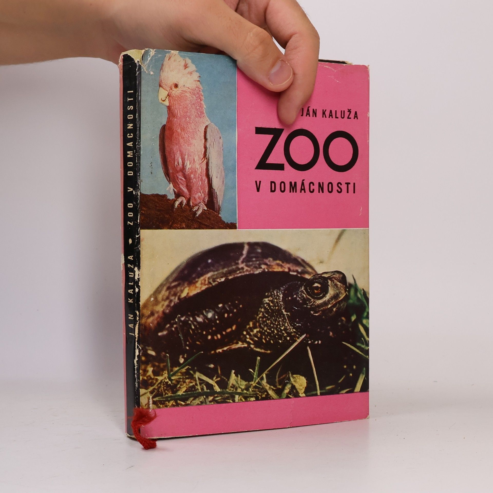 Ján Kaluža Zoo v domácnosti