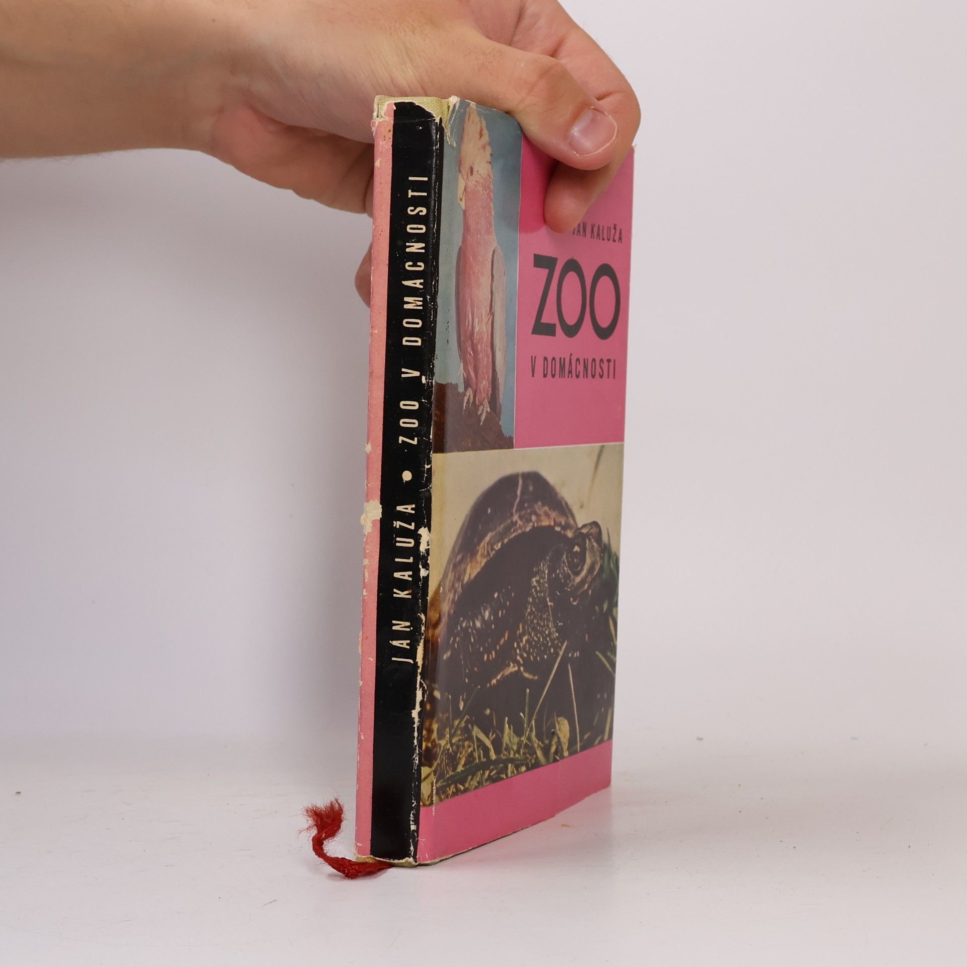 Ján Kaluža Zoo v domácnosti