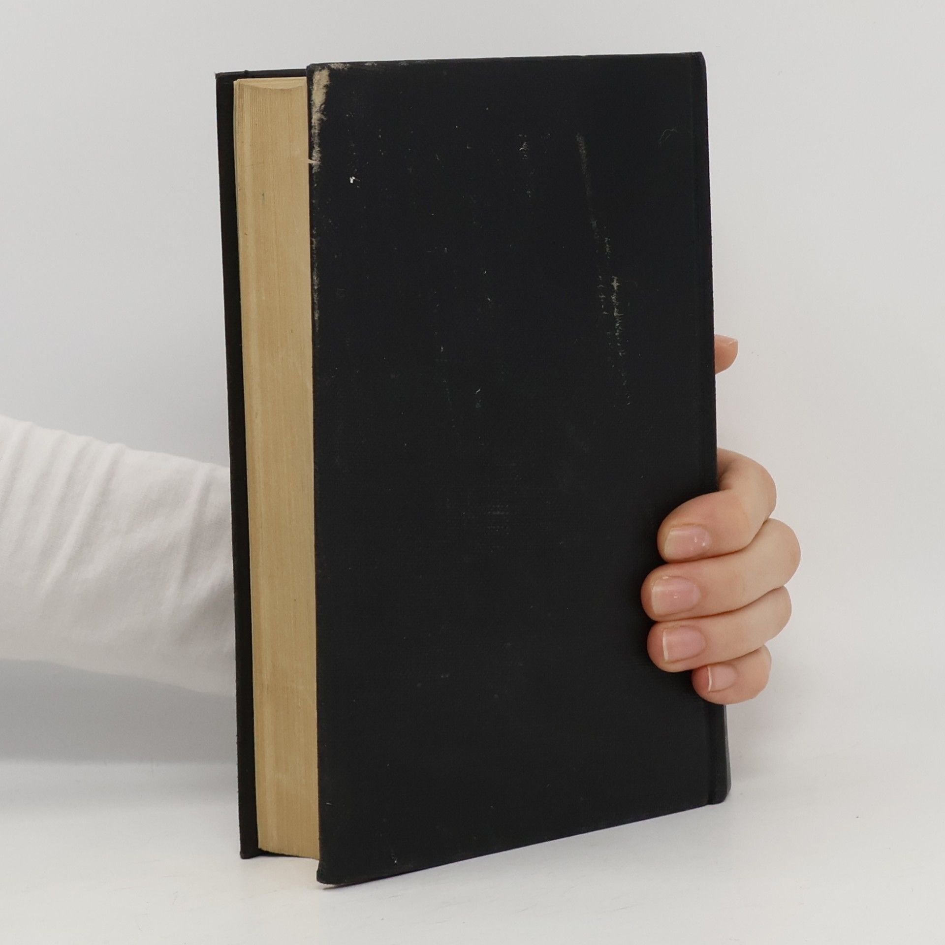 Ferdinand Schleicher Taschenbuch für Bauingenieure II.