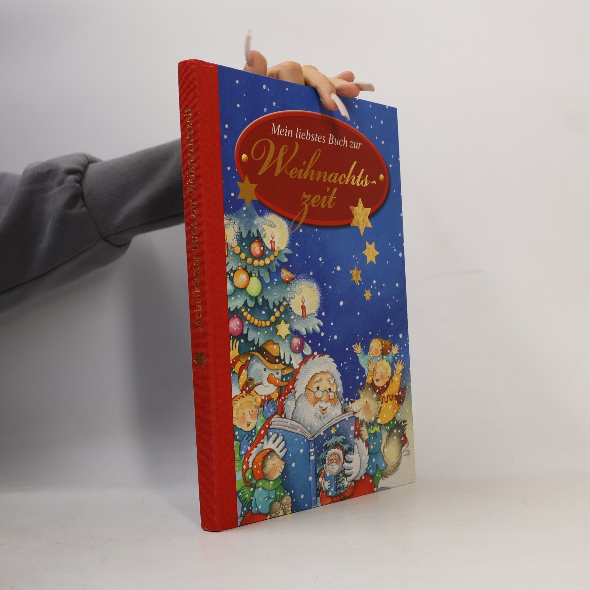 Anne-Marrie Frisque Mein liebstes Buch zur Weihnachtszeit