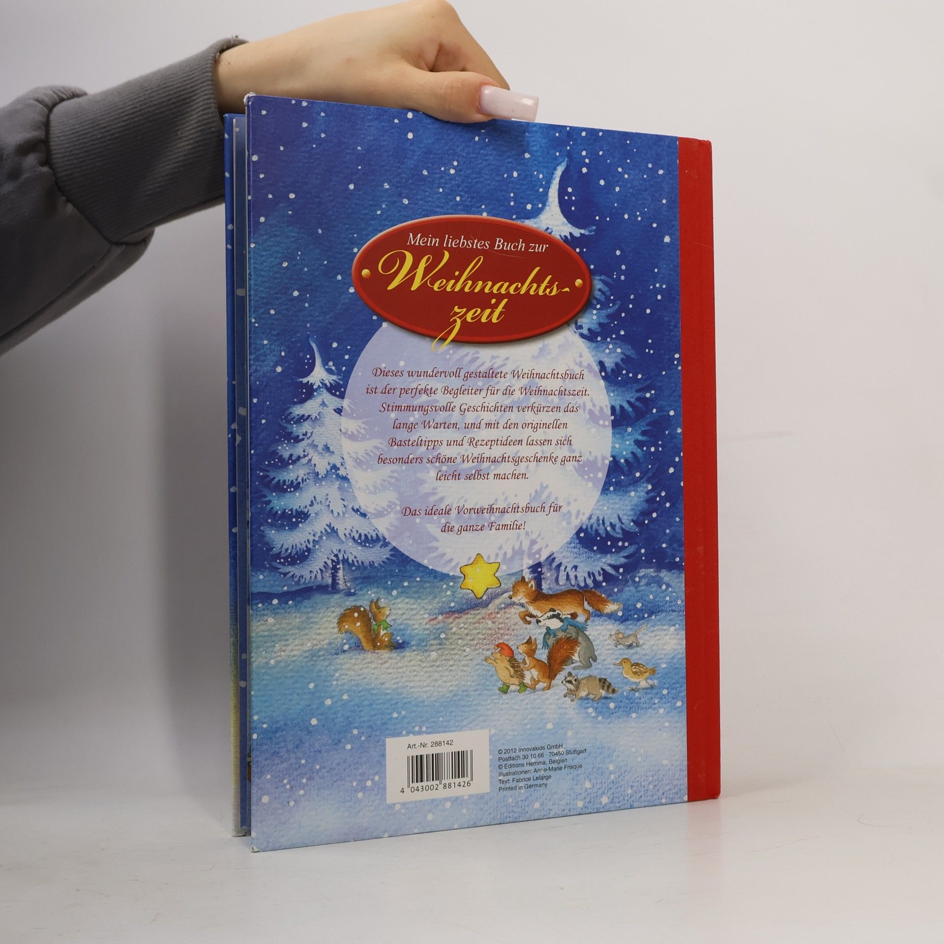 Anne-Marrie Frisque Mein liebstes Buch zur Weihnachtszeit