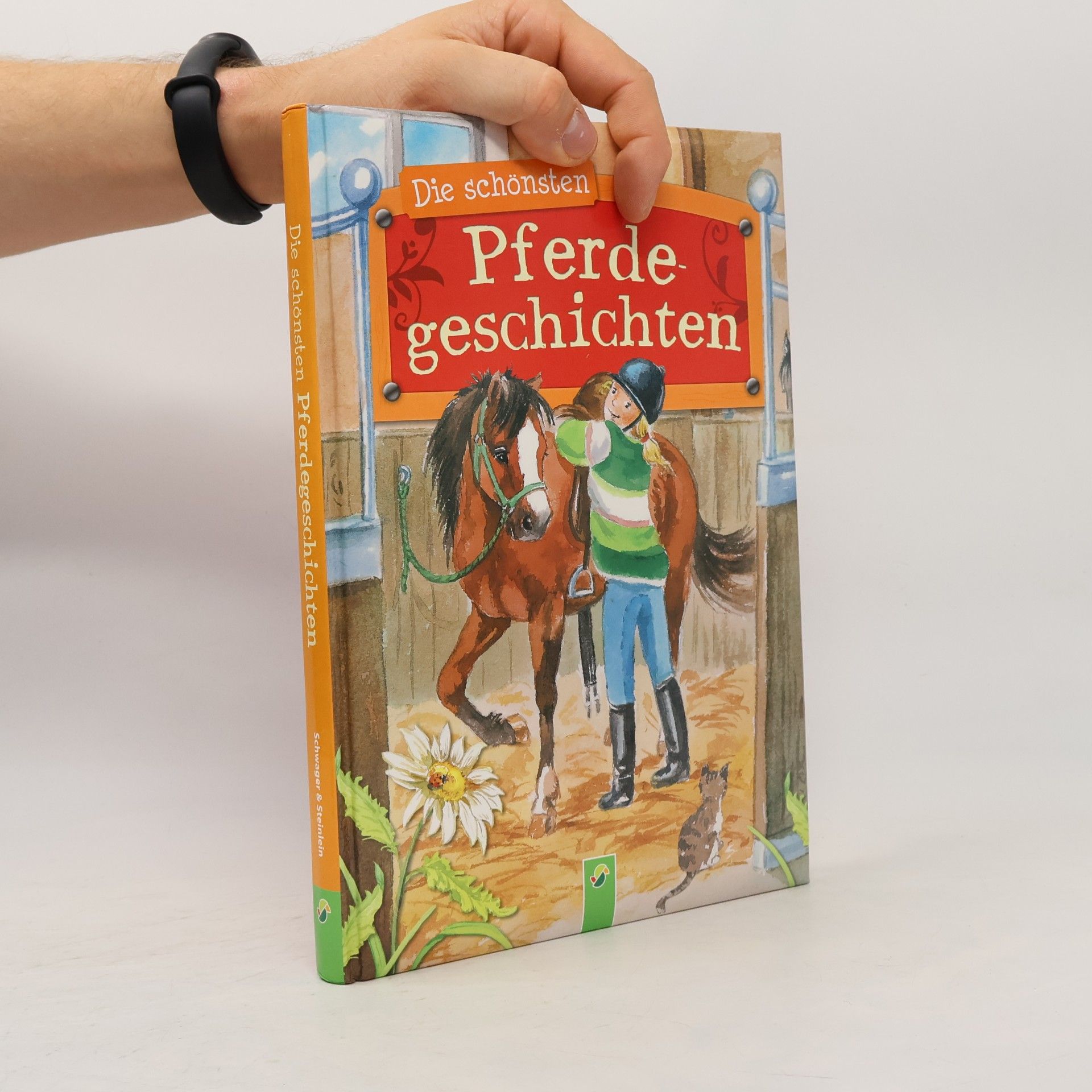 Collectif d'auteurs Die schönsten Pferdegeschichten
