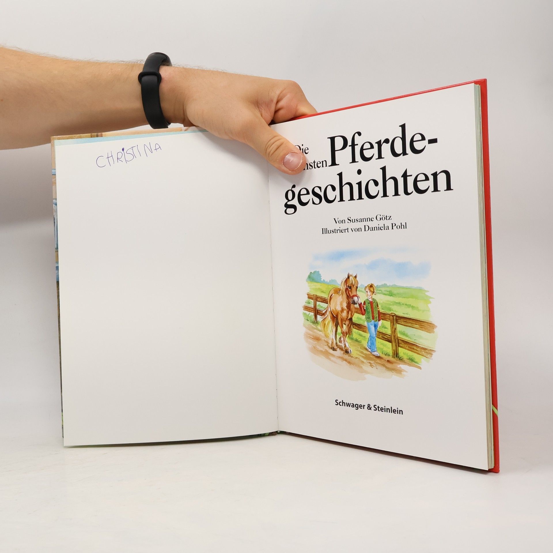 Collectif d'auteurs Die schönsten Pferdegeschichten
