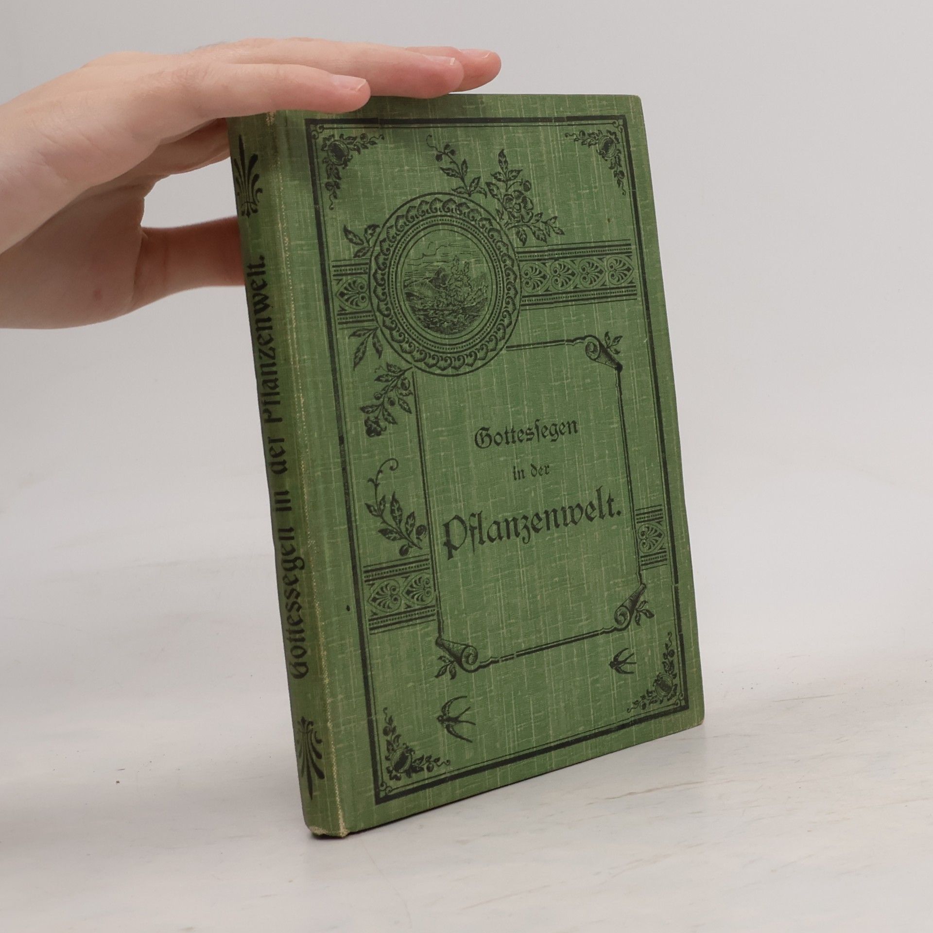 Johann Alfred Ulsamer Gottessegen in der Pflanzenwelt