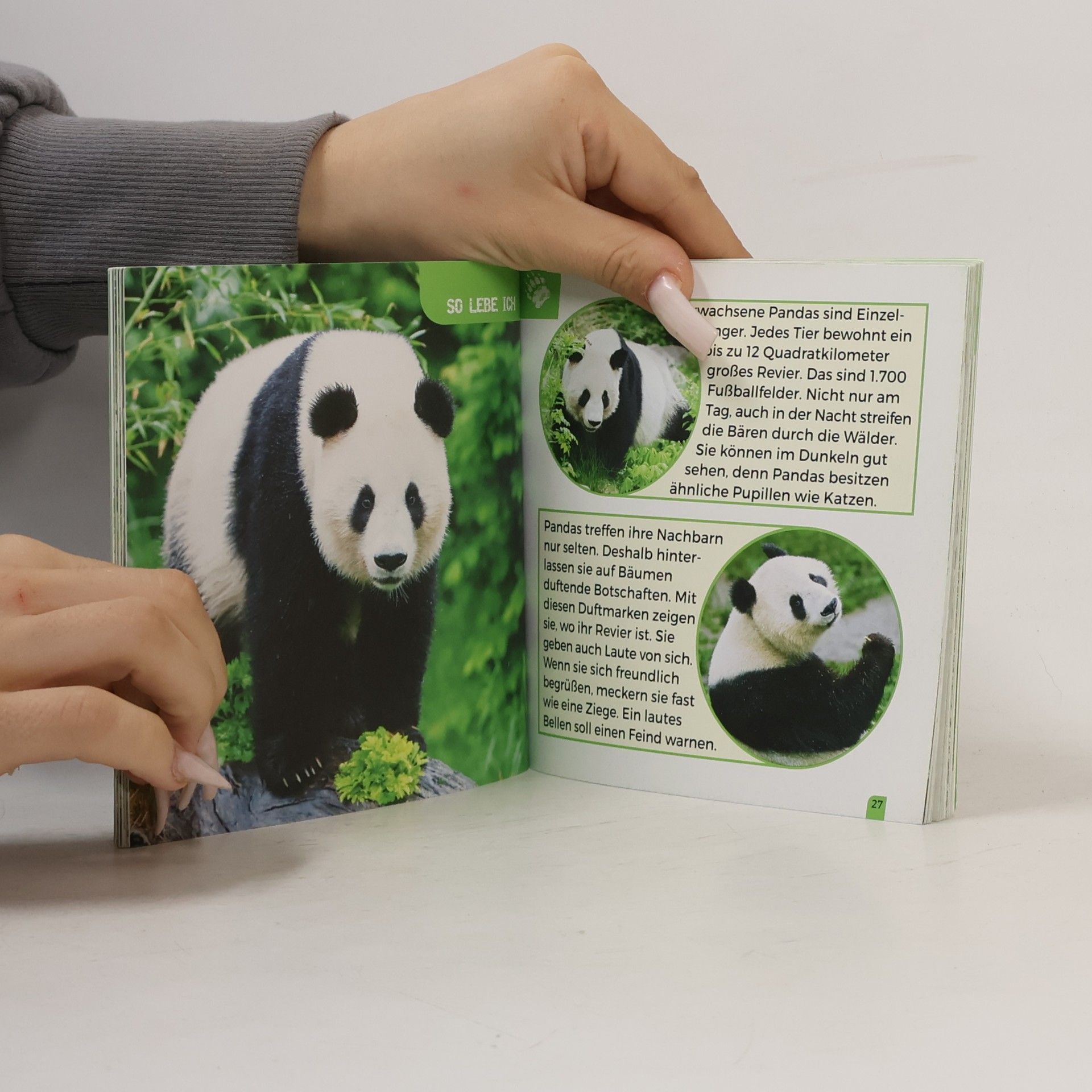 Johanna Bukovsky Grosser Panda