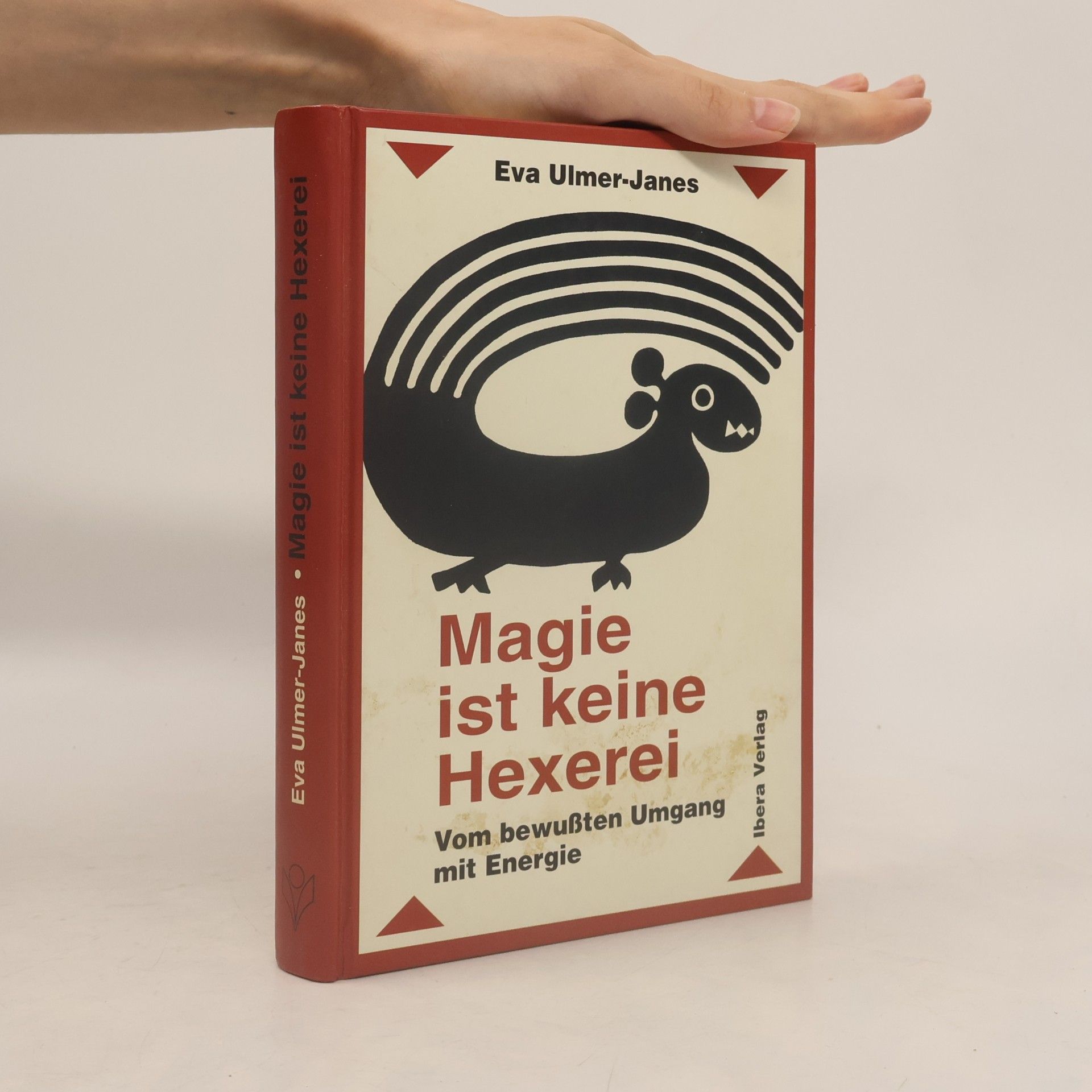Eva Ulmer Janes Magie ist keine Hexerei