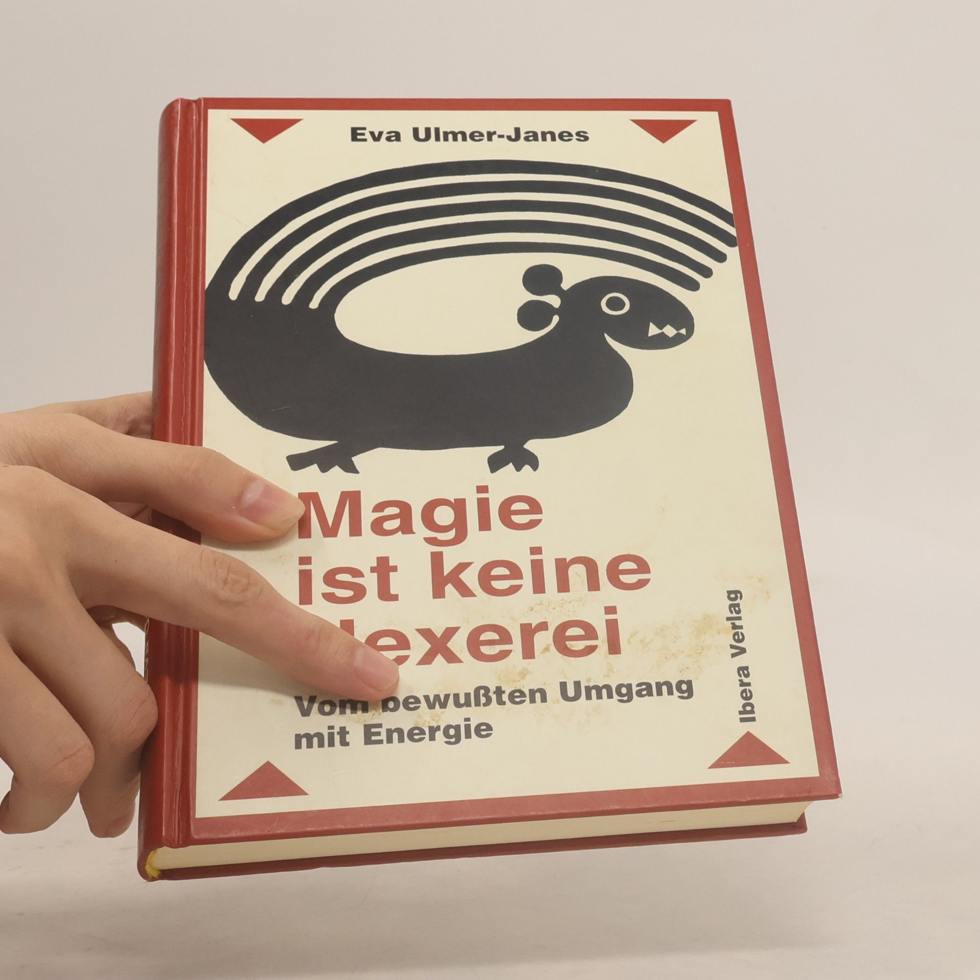 Eva Ulmer Janes Magie ist keine Hexerei