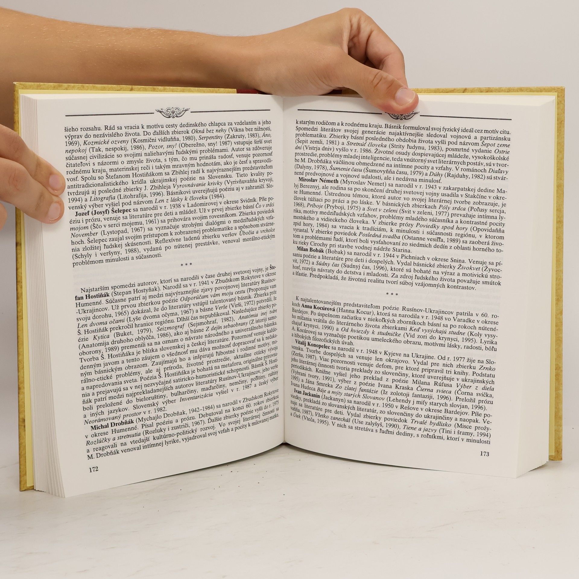 Kolektív autorov Rukoväť literatúry