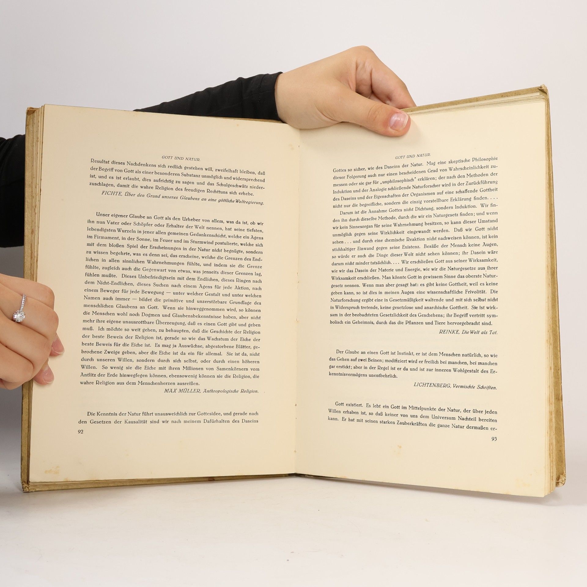 Julius Reiner Weltanschauung grosser Denker