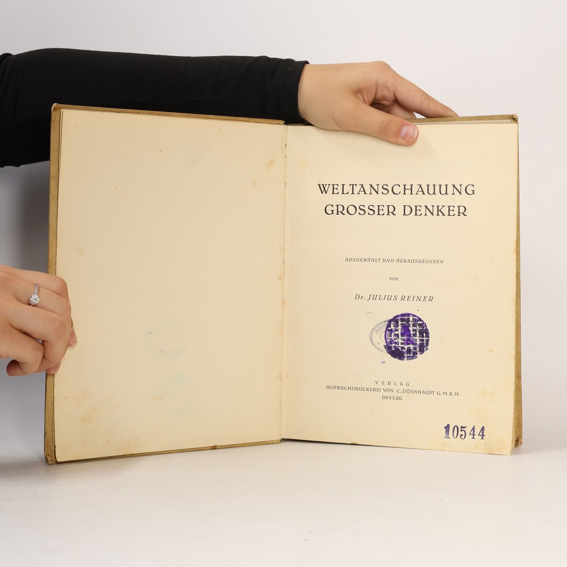 Julius Reiner Weltanschauung grosser Denker