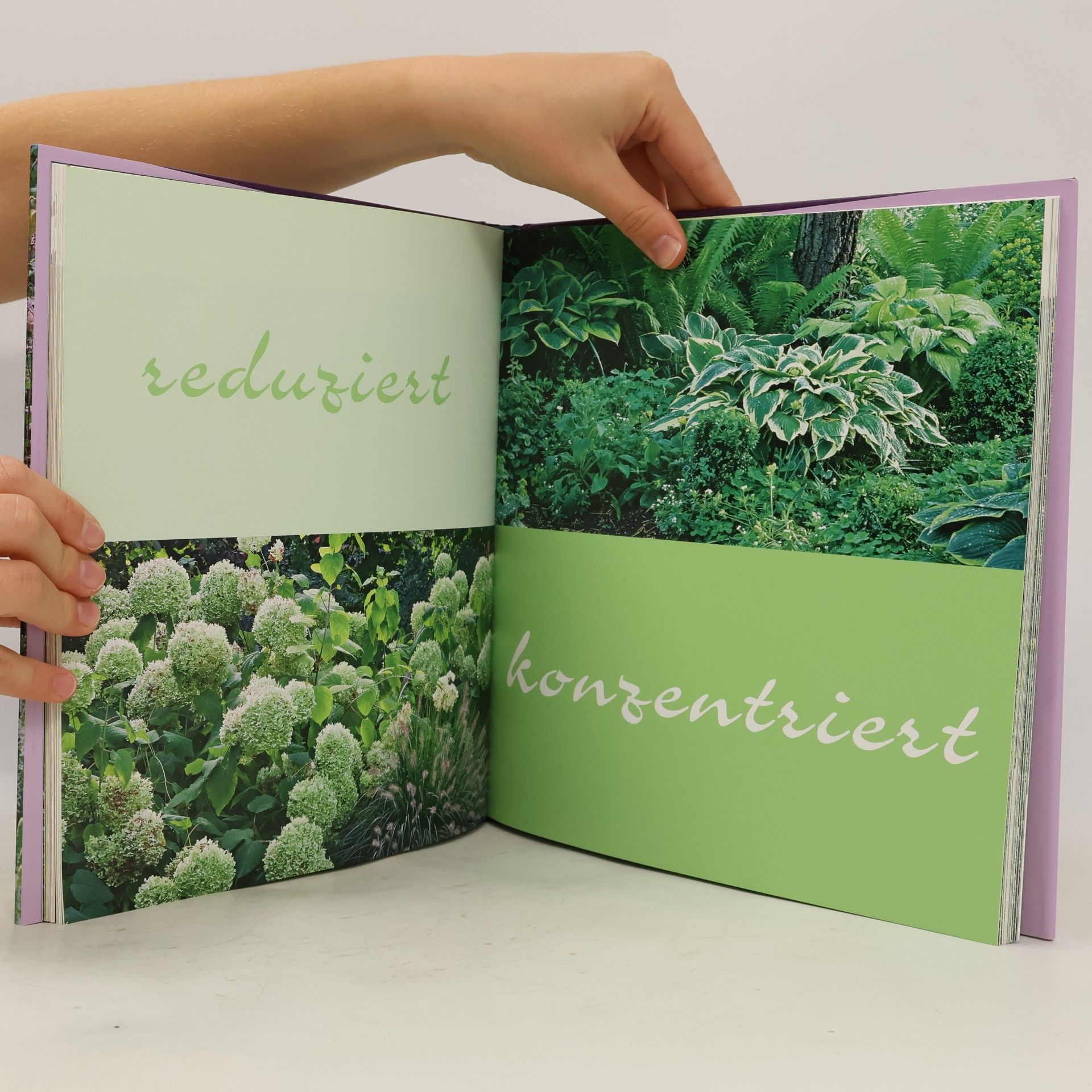 Ursula Barth Immer ein schöner Garten