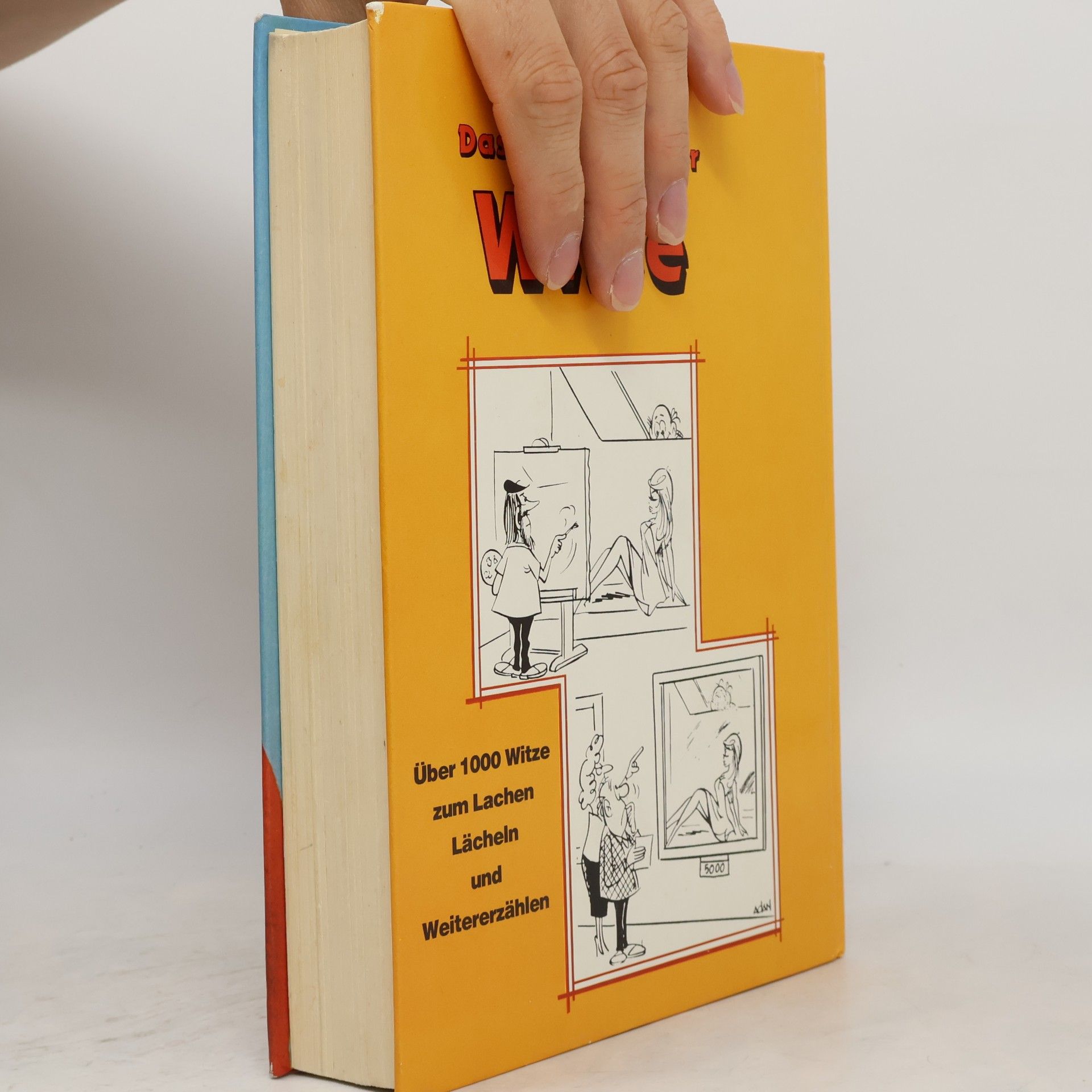 Kolektiv autorů Das grosse Buch der Witze
