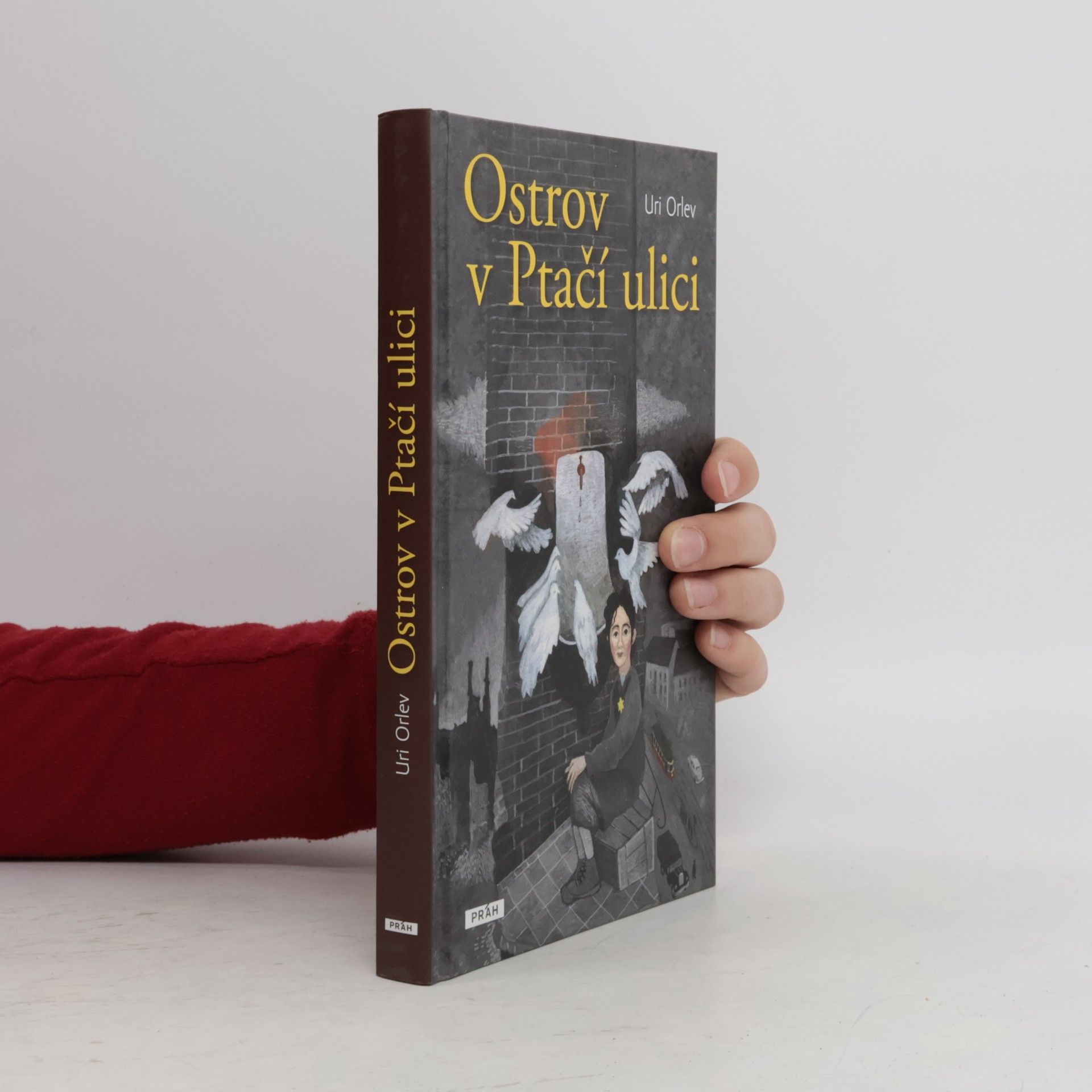 Uri Orlev Ostrov v Ptačí ulici