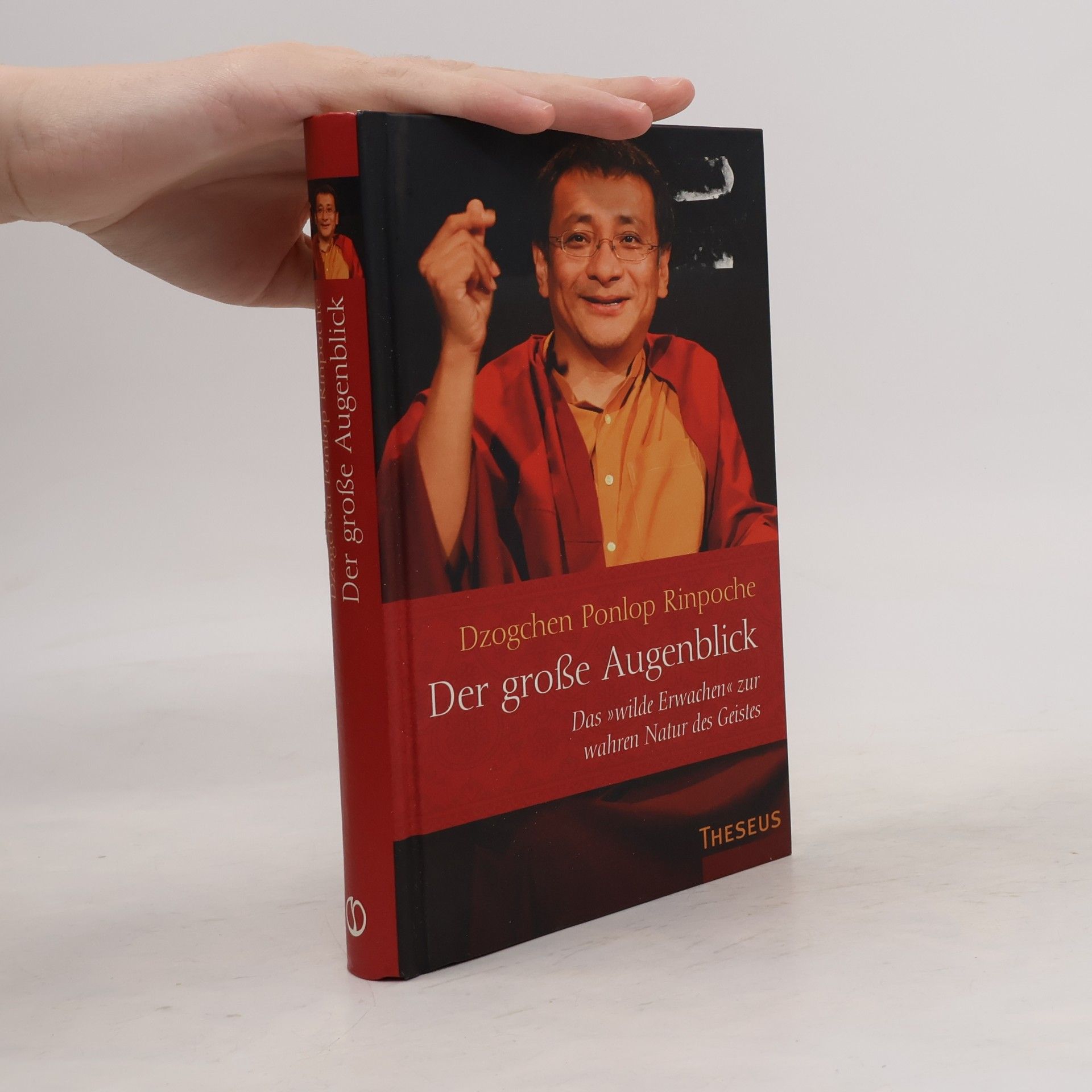 Dzogchen Ponlop Rinpoche Der große Augenblick