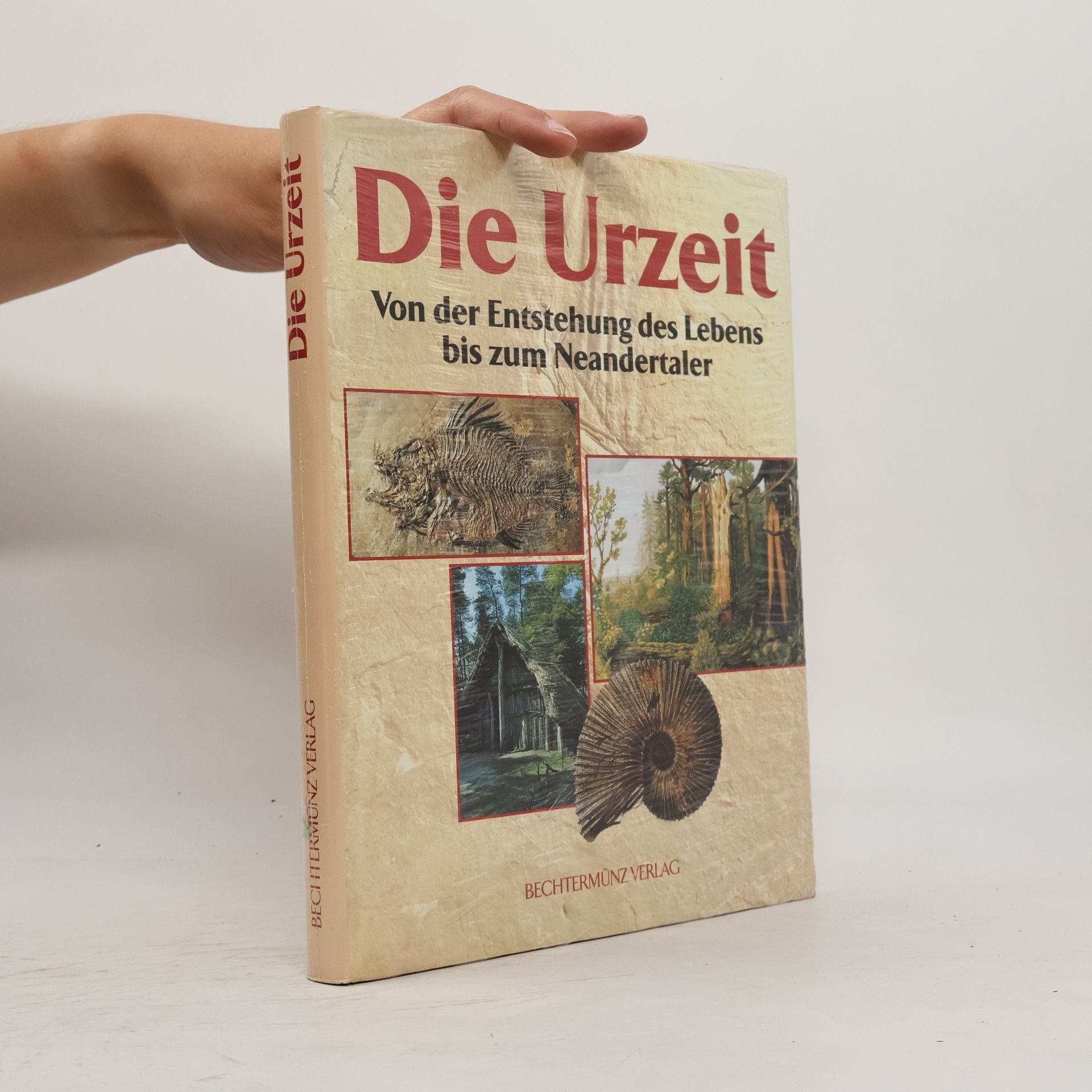 Various authors Die Urzeit