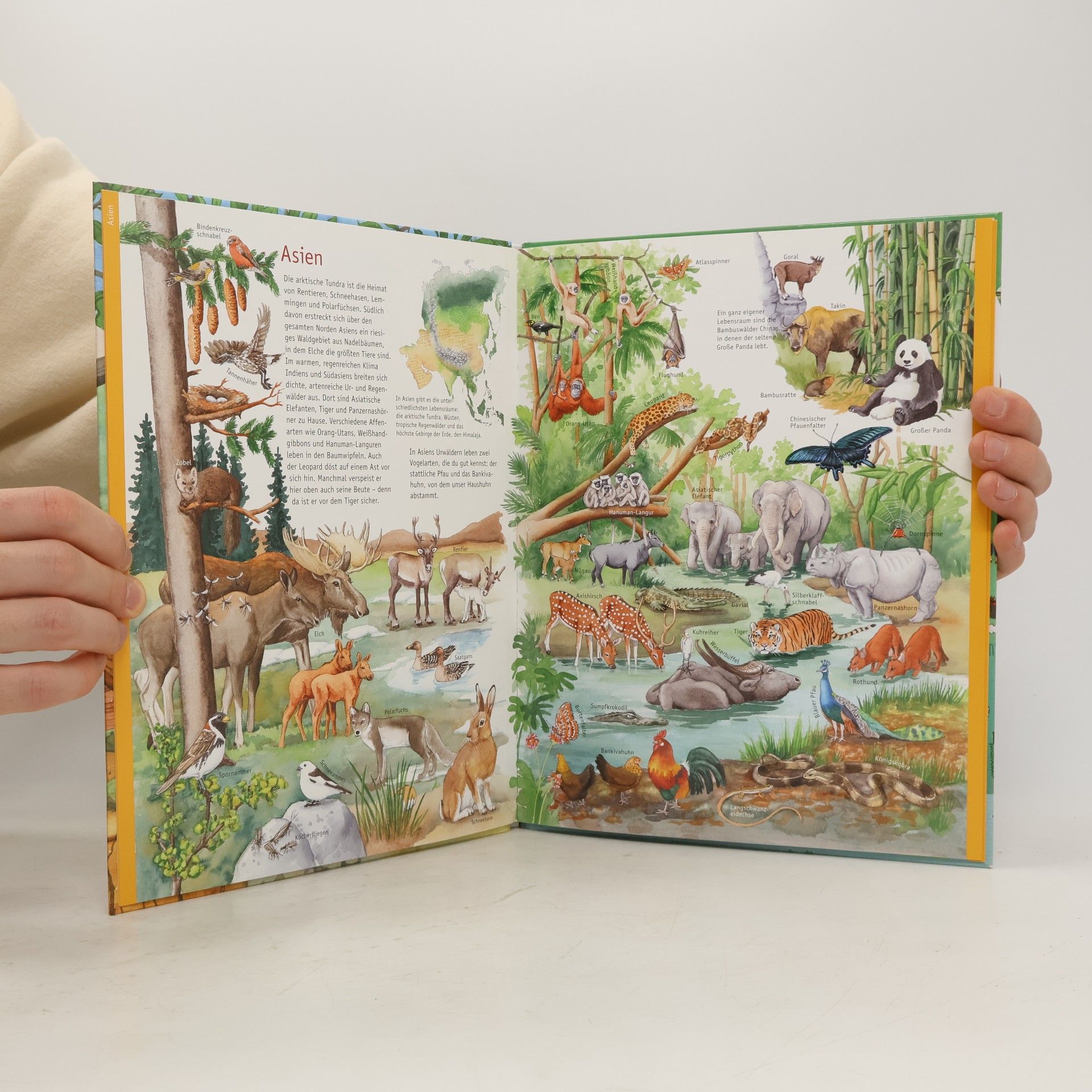 Autorenkollektiv Mein großer Atlas der Erde und ihrer Tiere