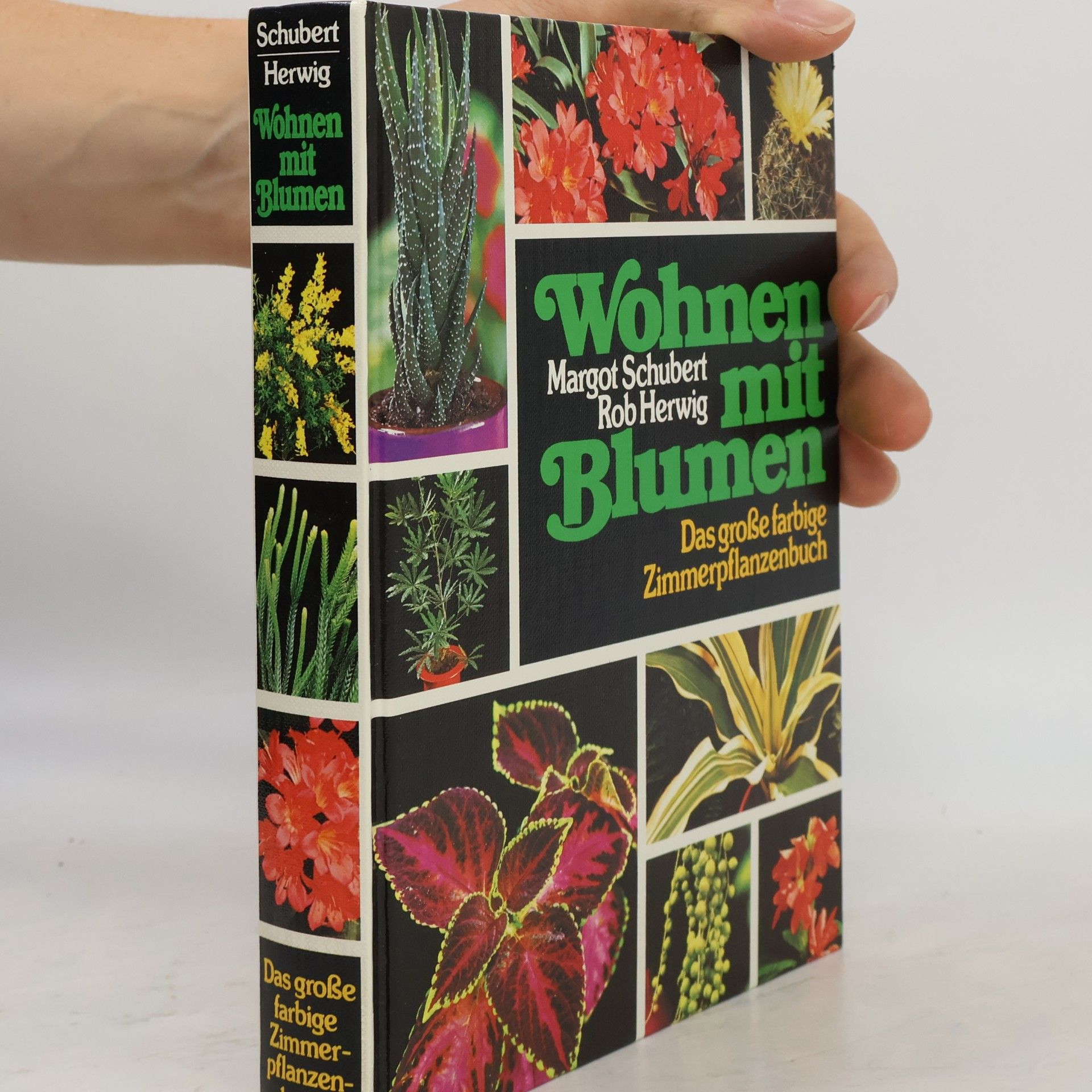 Margot Schubert Wohnen mit Blumen