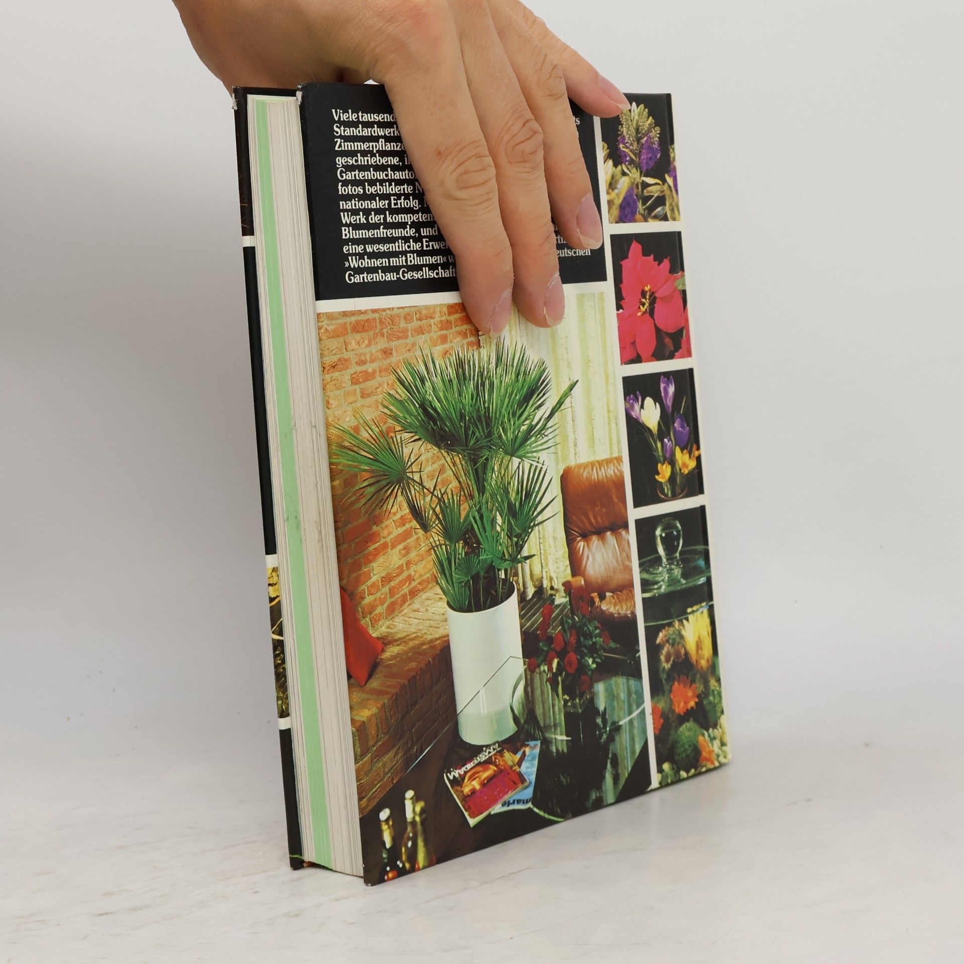 Margot Schubert Wohnen mit Blumen