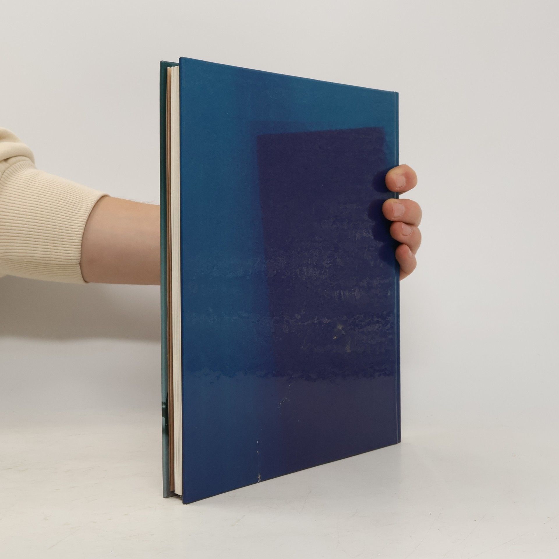 Deborah Thompson Klempner- und Elektroarbeiten