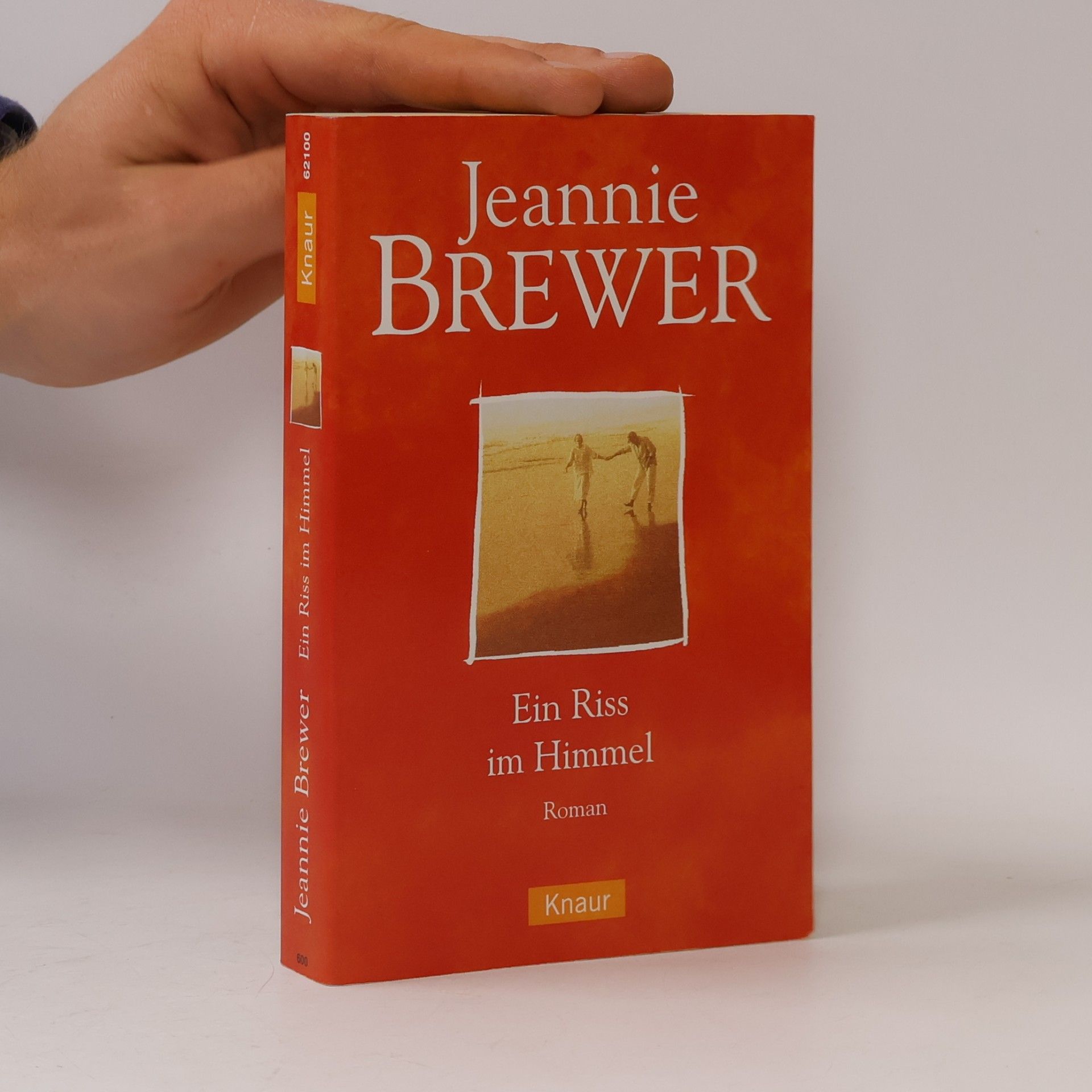 Jeannie Brewer Ein Riß im Himmel