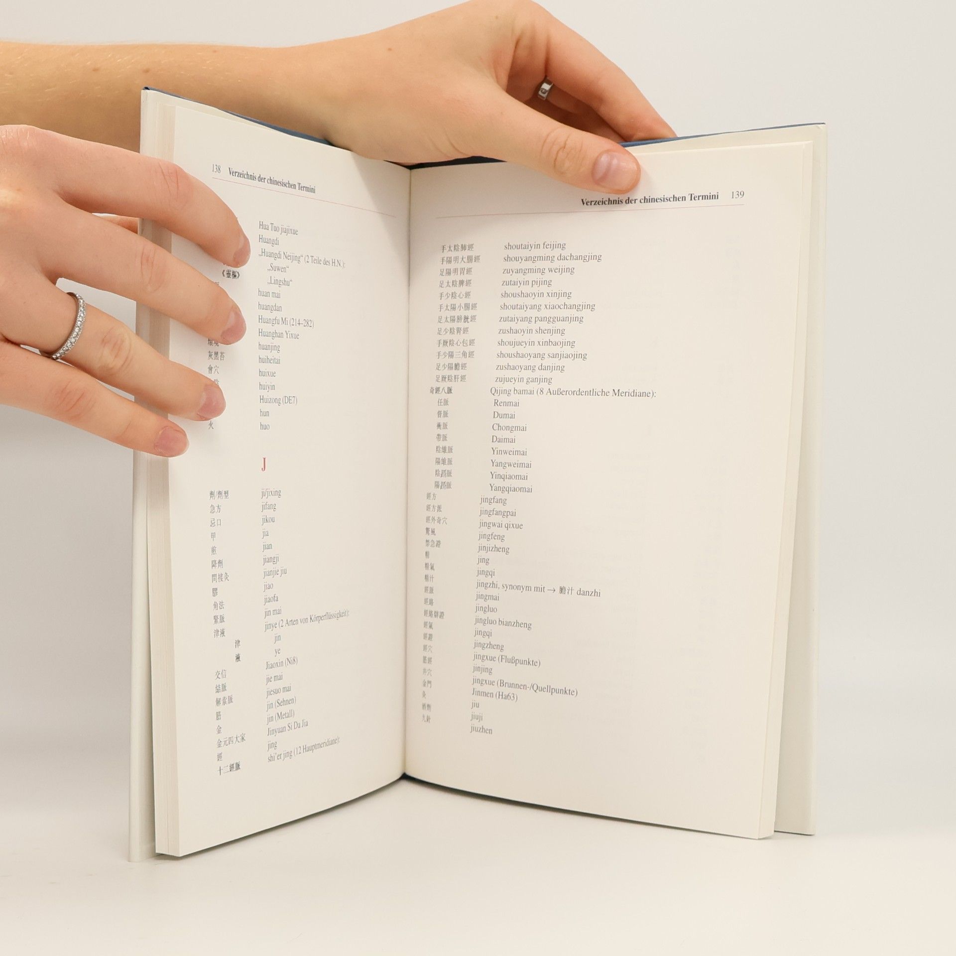 Wolfgang G. A. Schmidt Handbuch der chinesischen Heilkunst: von Akupunktur bis Zungendiagnostik