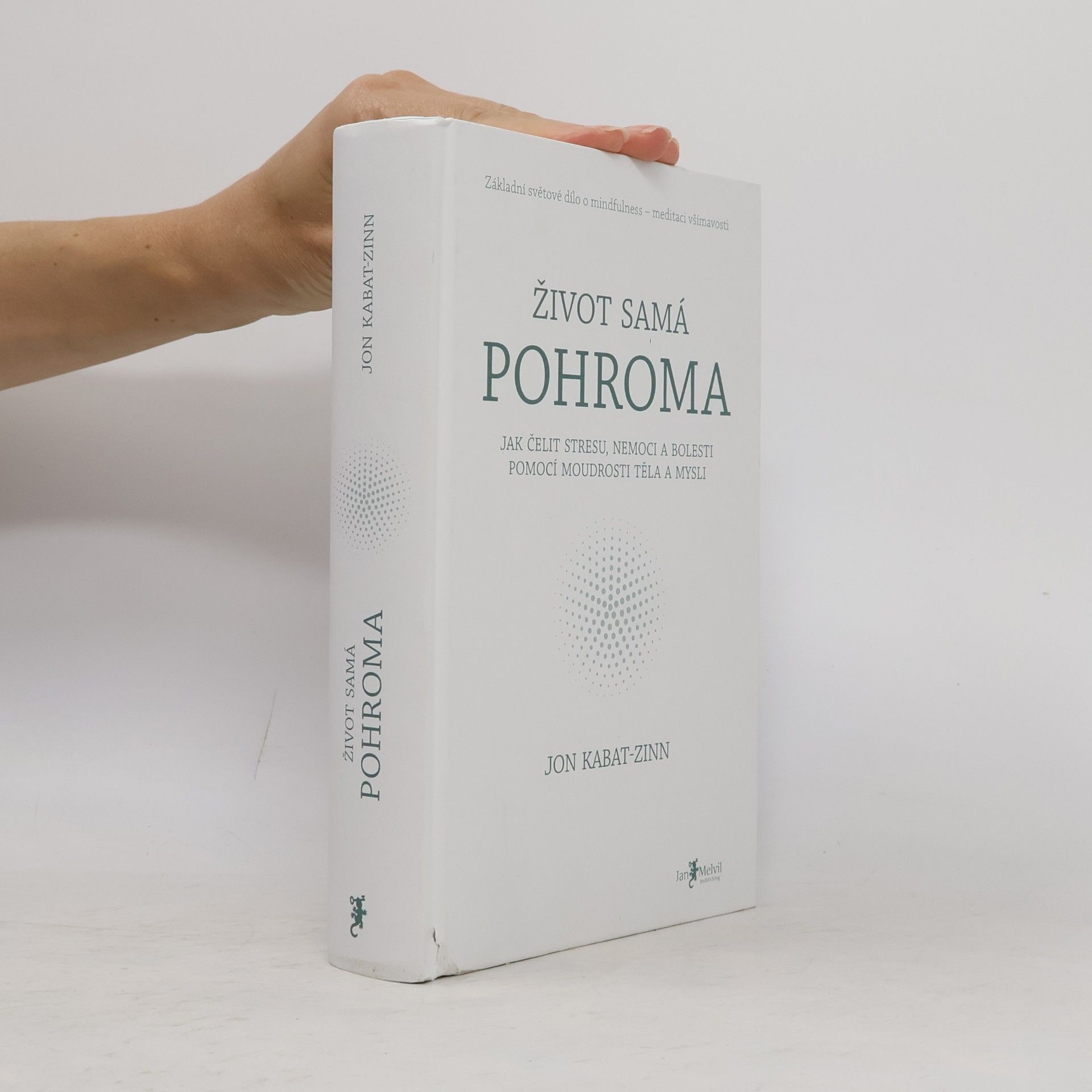 Jon Kabat-Zinn Život samá pohroma