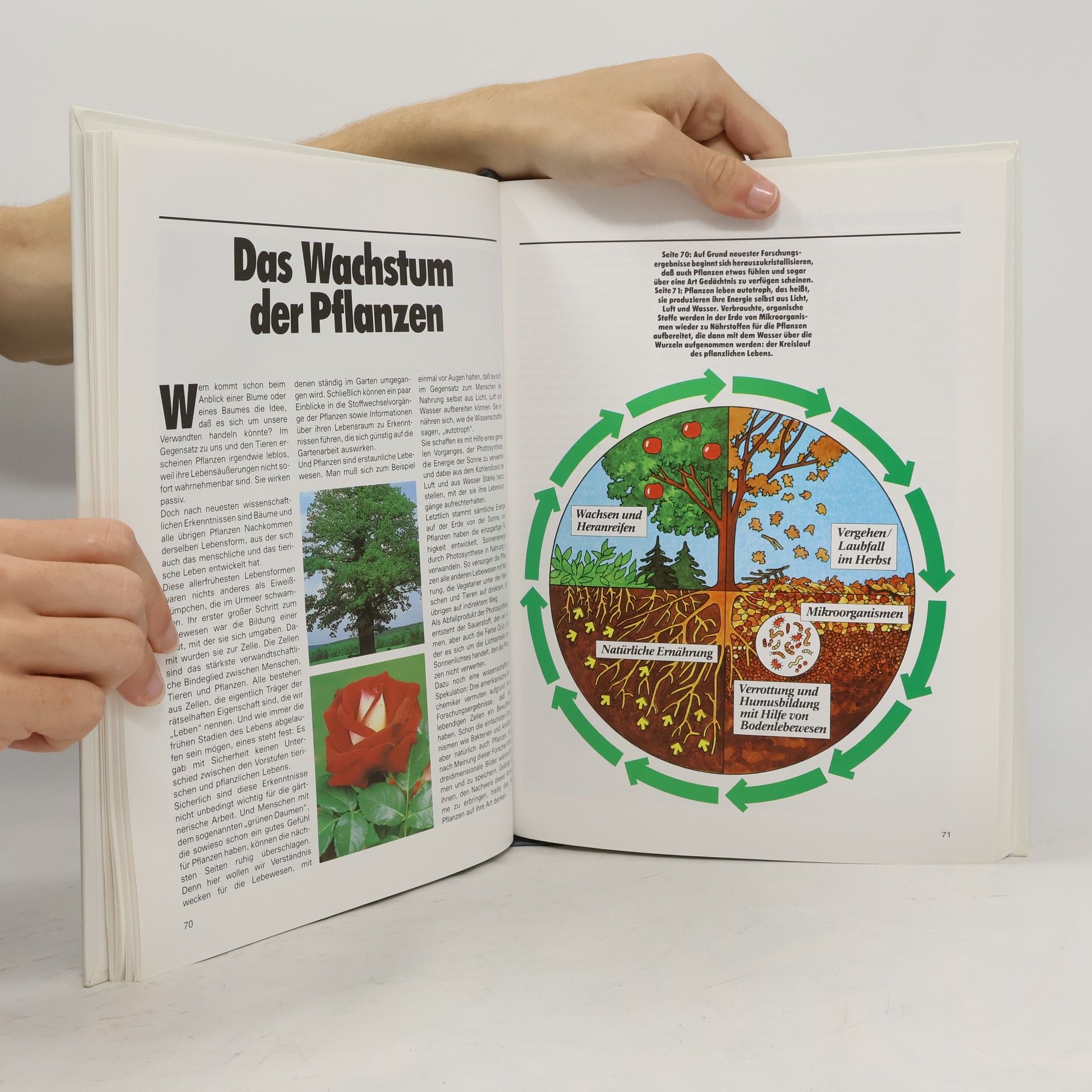 Autorenkollektiv Das ökologische Haus im naturnahen Garten