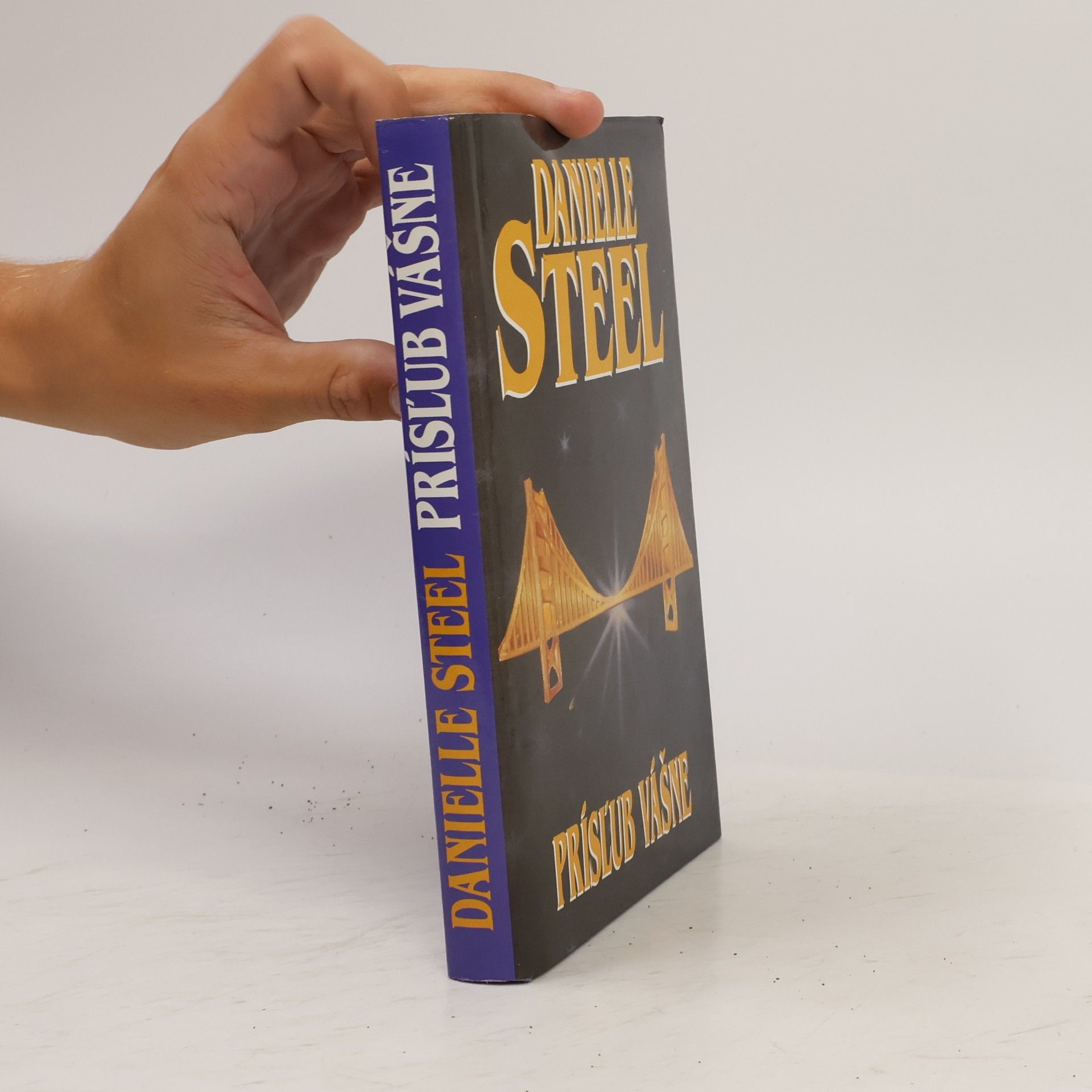 Danielle Steel Prísl'ub vášne