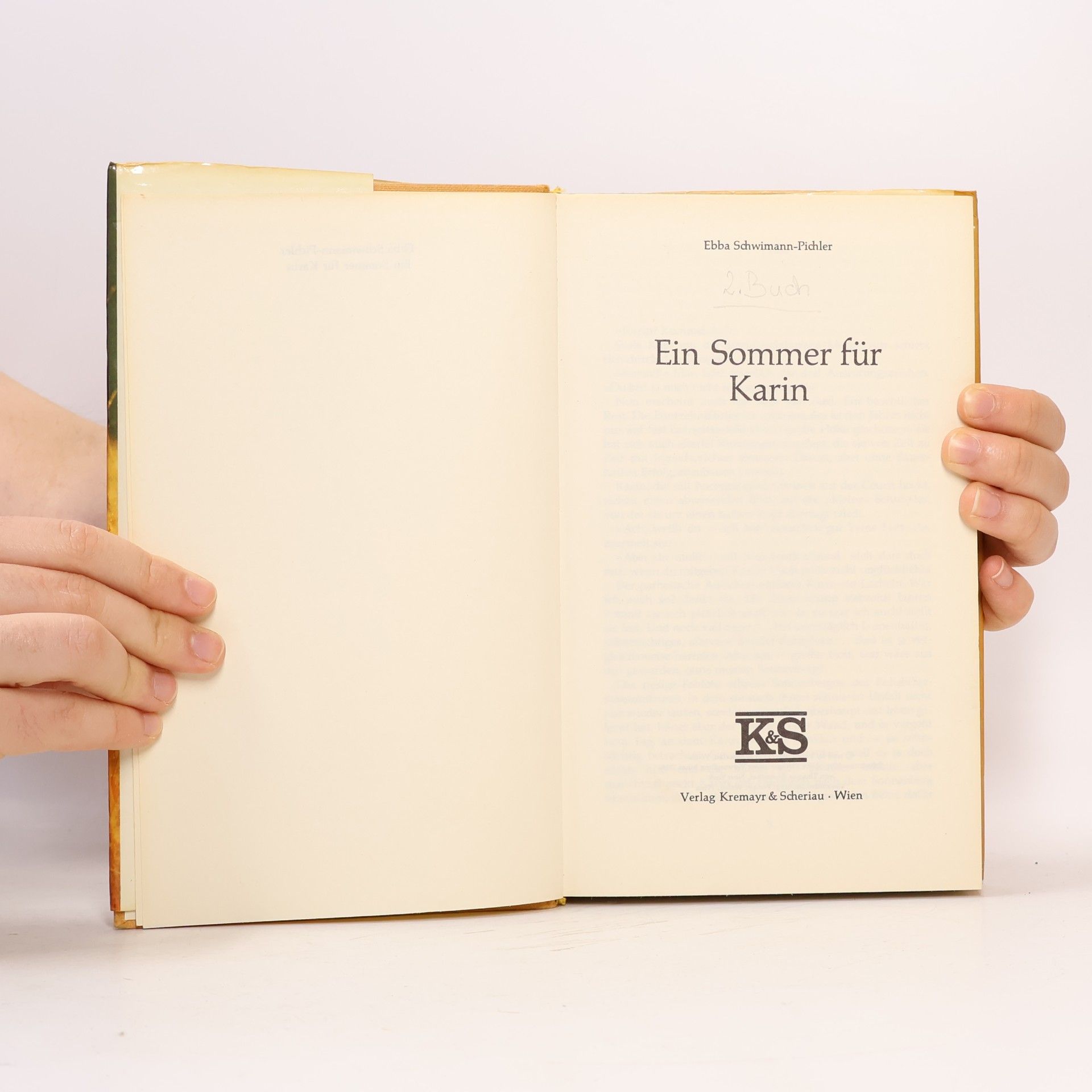 Ebba Schwimann-Pichler Ein Sommer für Karin