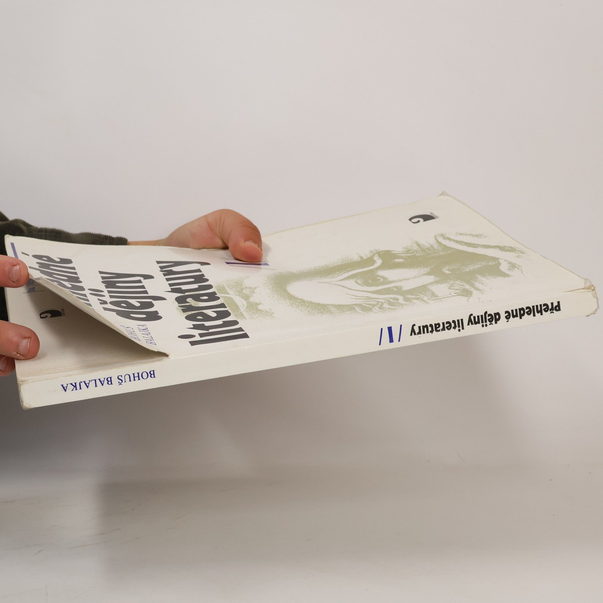 Bohuš Balajka Přehledné dějiny literatury I.