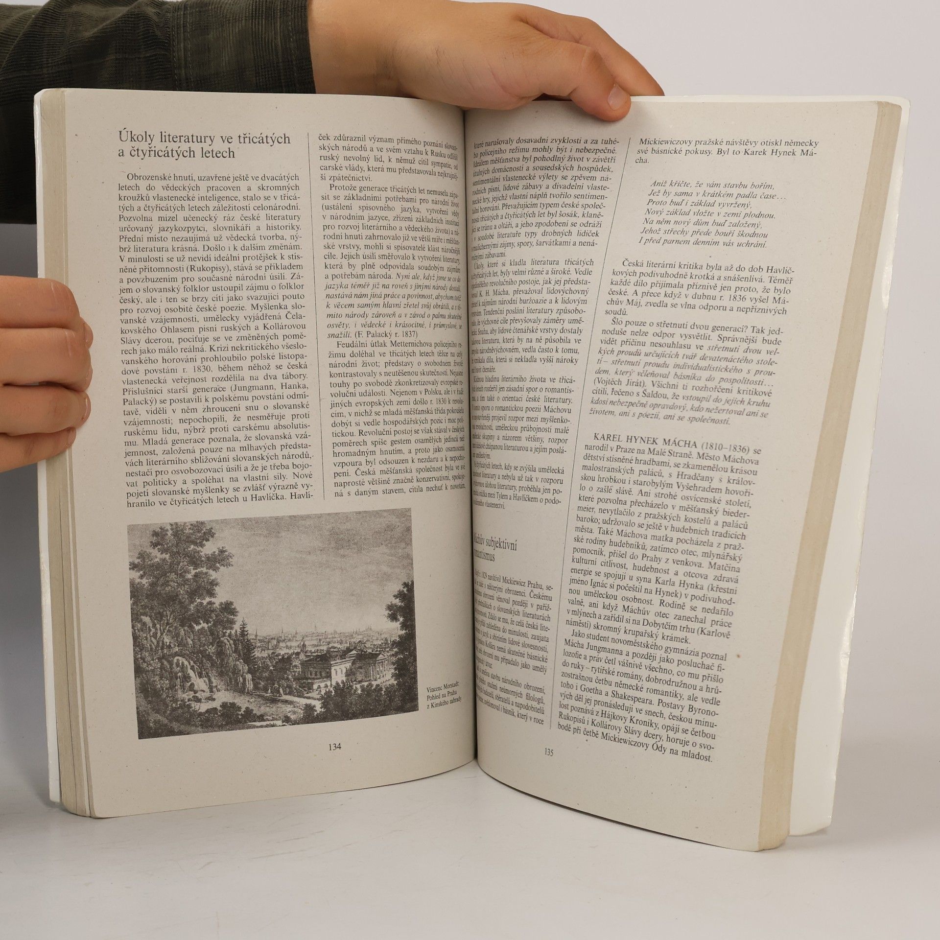 Bohuš Balajka Přehledné dějiny literatury I.