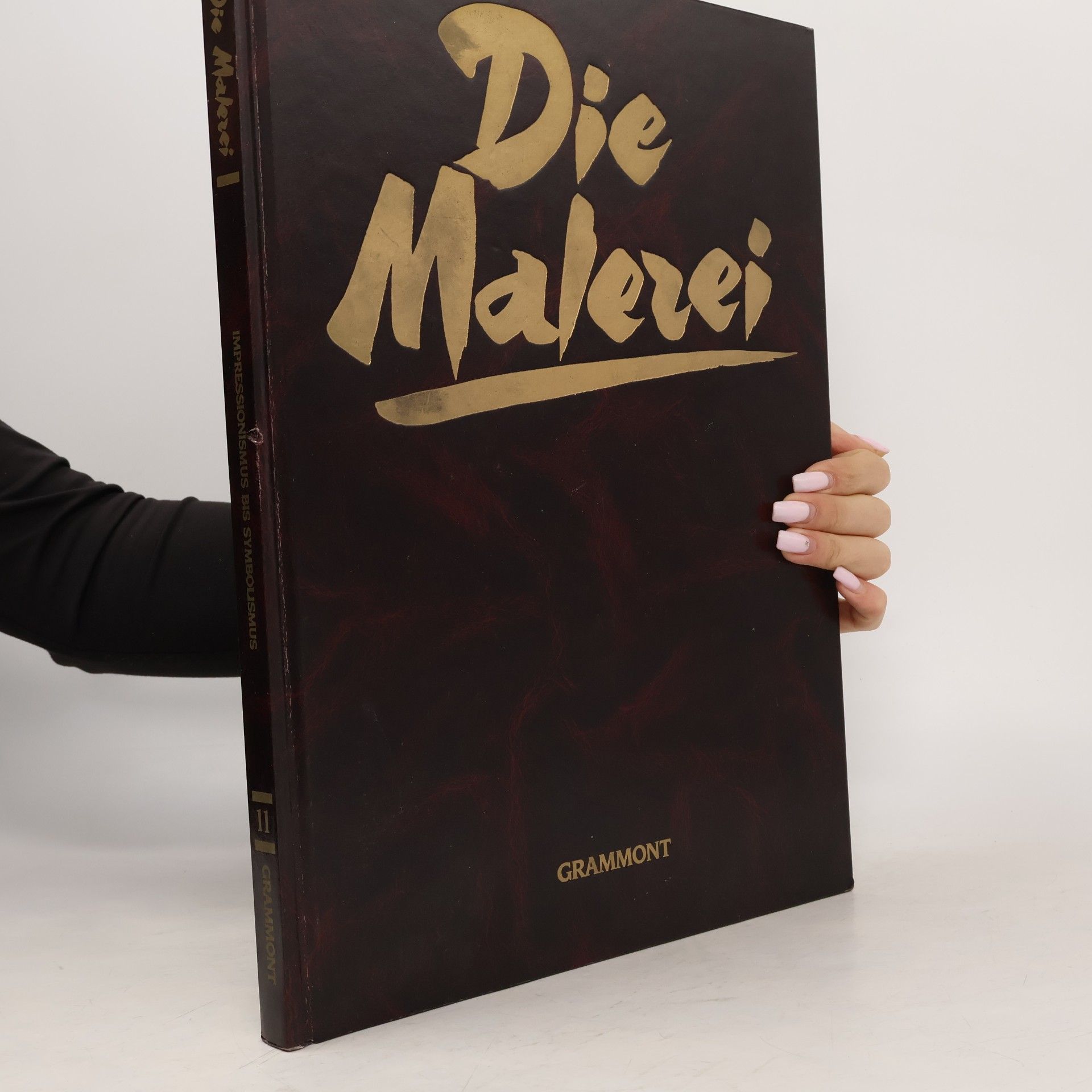 Kolektív autorov Die Malezei 11. Vom Ipmressionismus zum Symbolismus