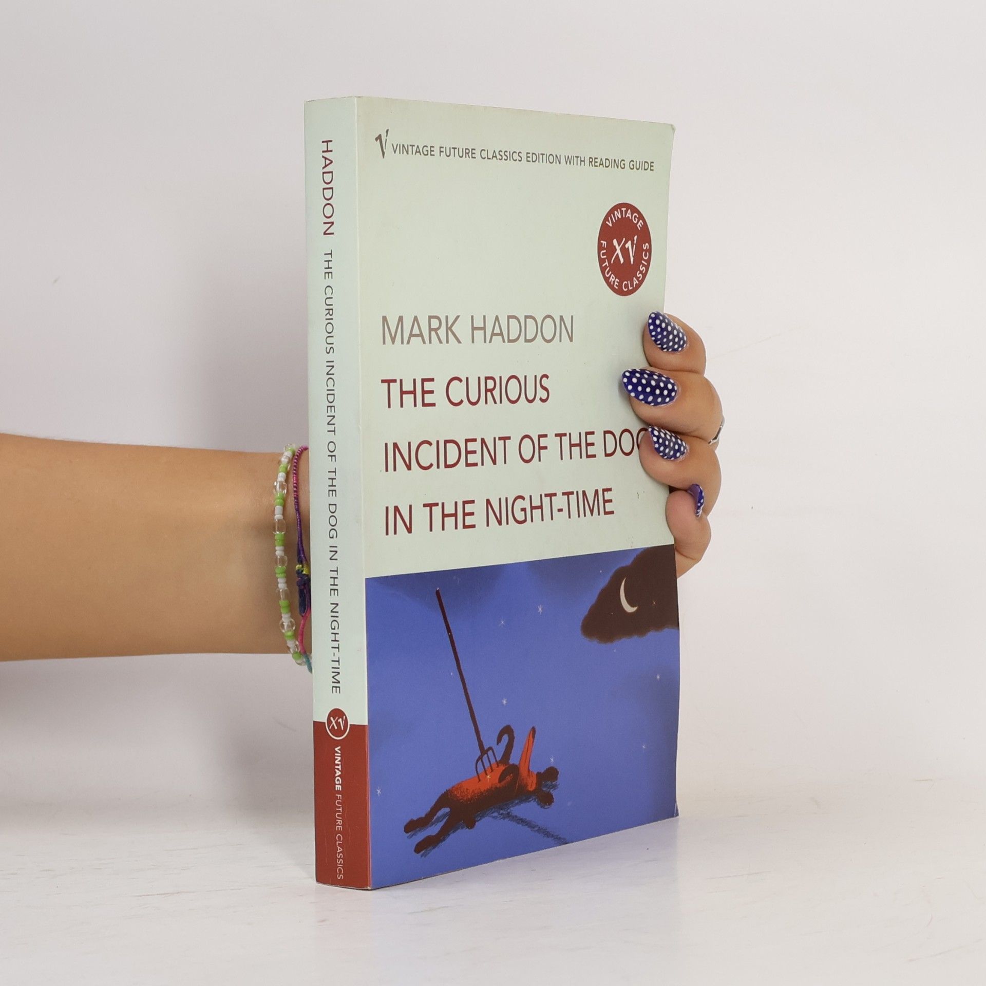 Mark Haddon The Curious Incident of the Dog in the Night-time