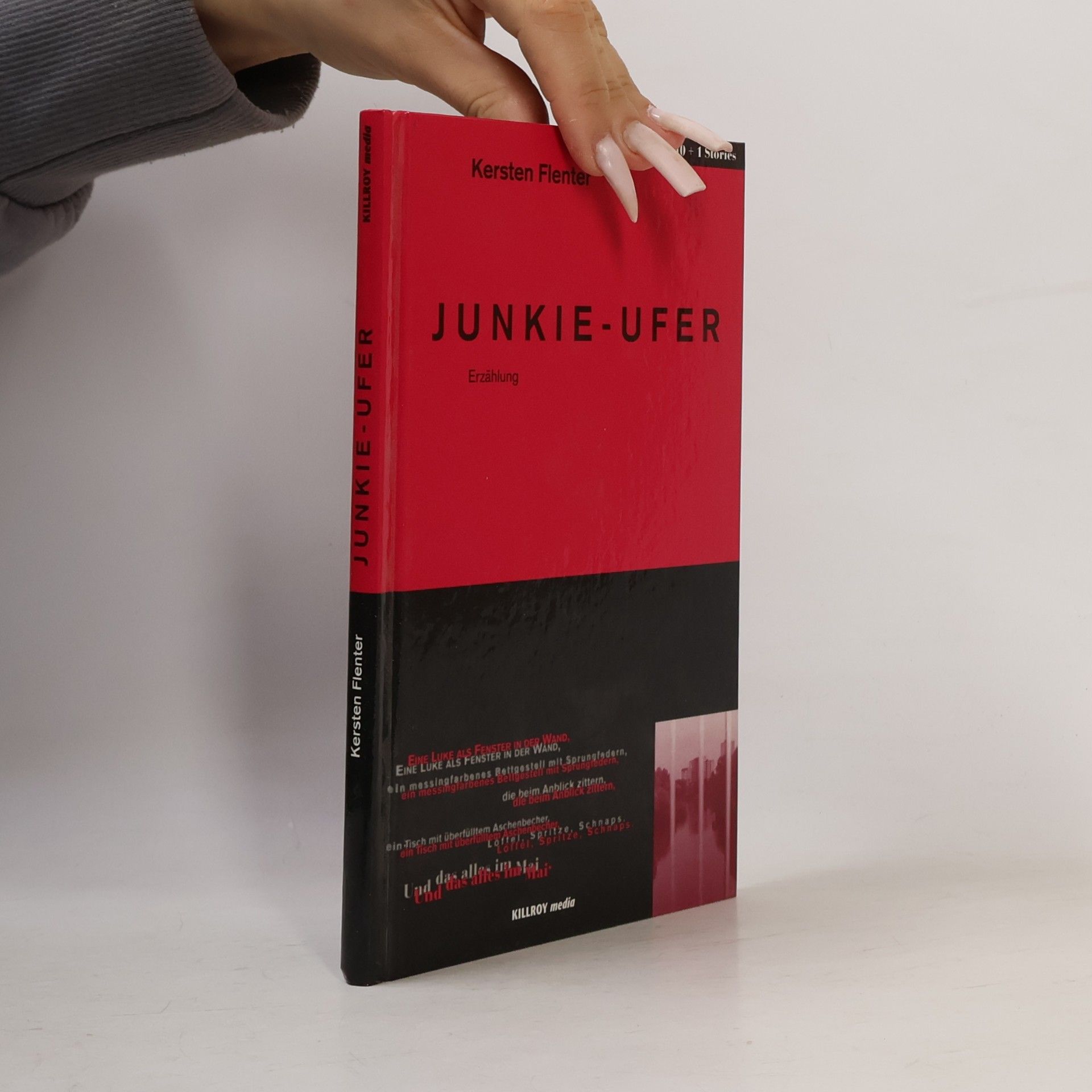 Kersten Flenter Killroy 10+1 Stories: Junkie-Ufer