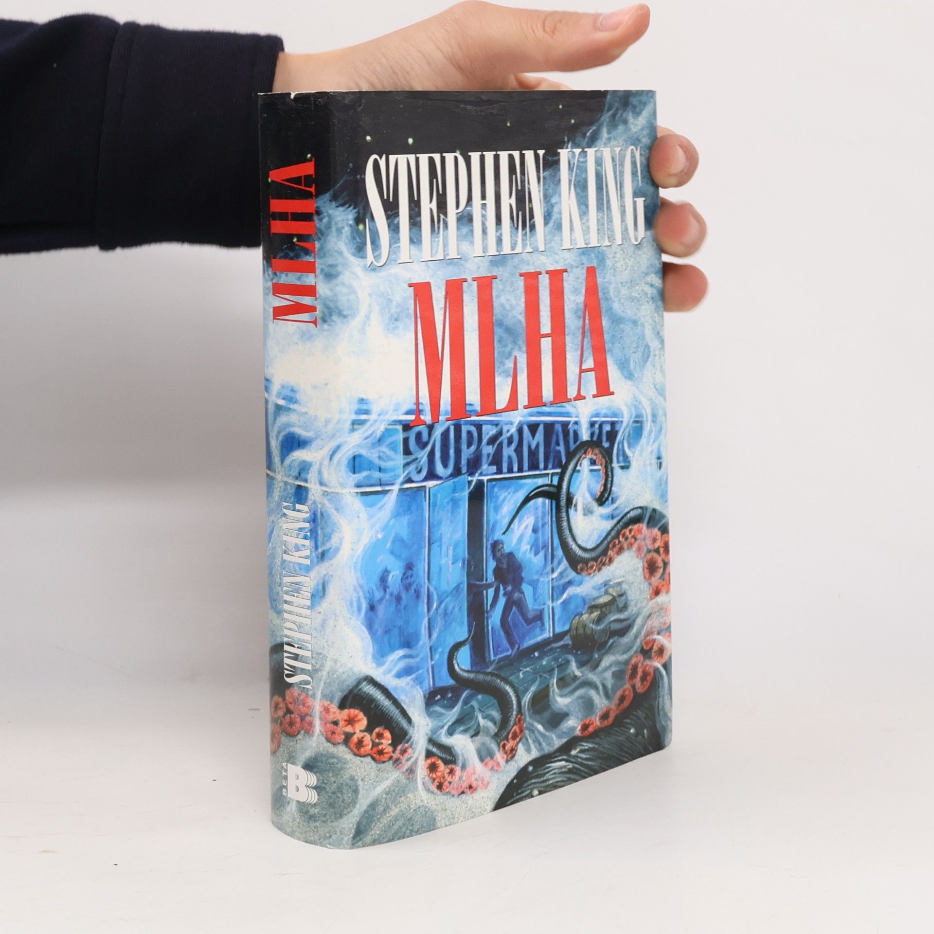 Stephen King Mlha
