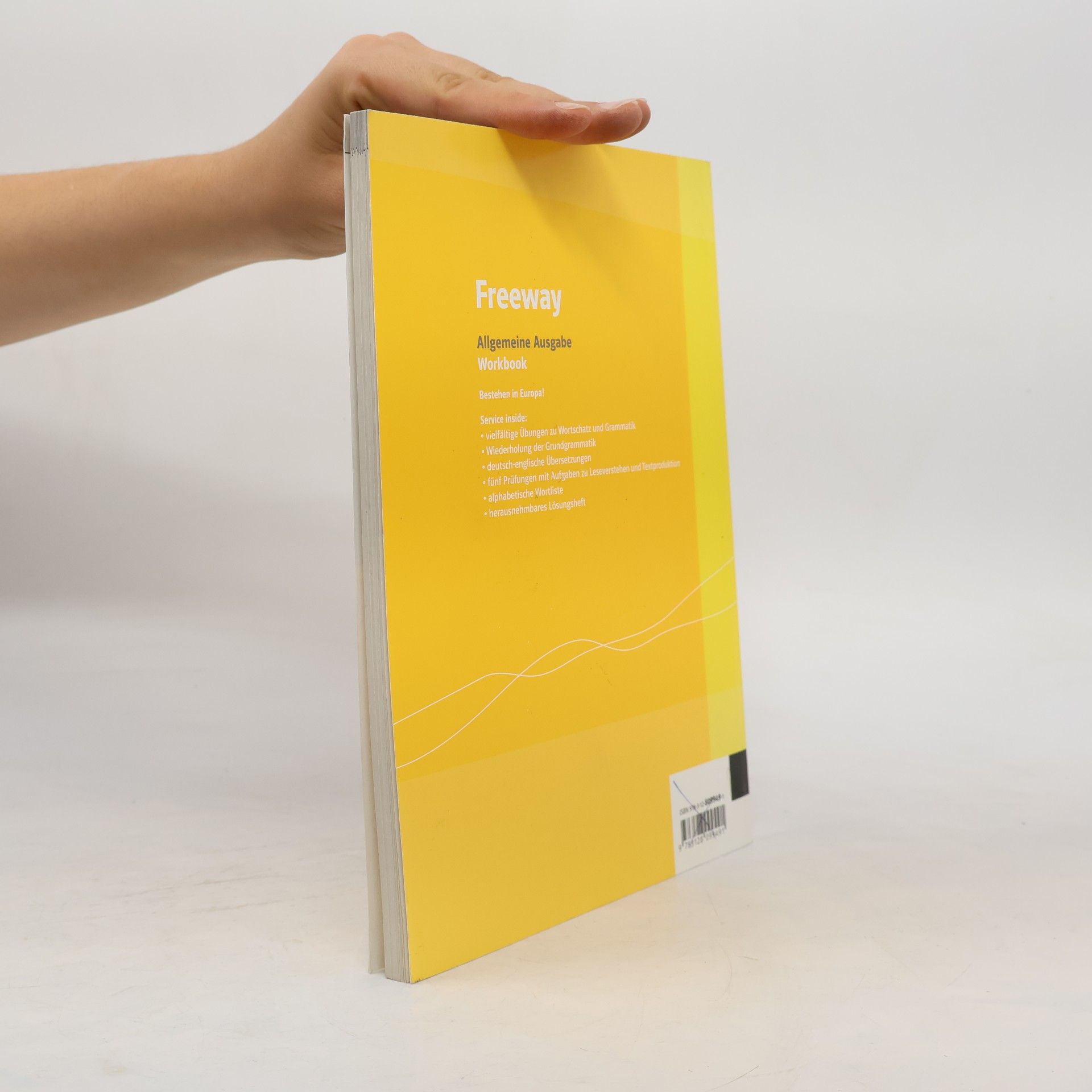 Rose King Freeway / Englisch für berufliche Schulen - bisherige Ausgaben: Freeway / Allgemeine Ausgabe NEU. Englisch für berufliche Schulen - ... Ausgaben / Workbook mit Prüfungsvorbereitung