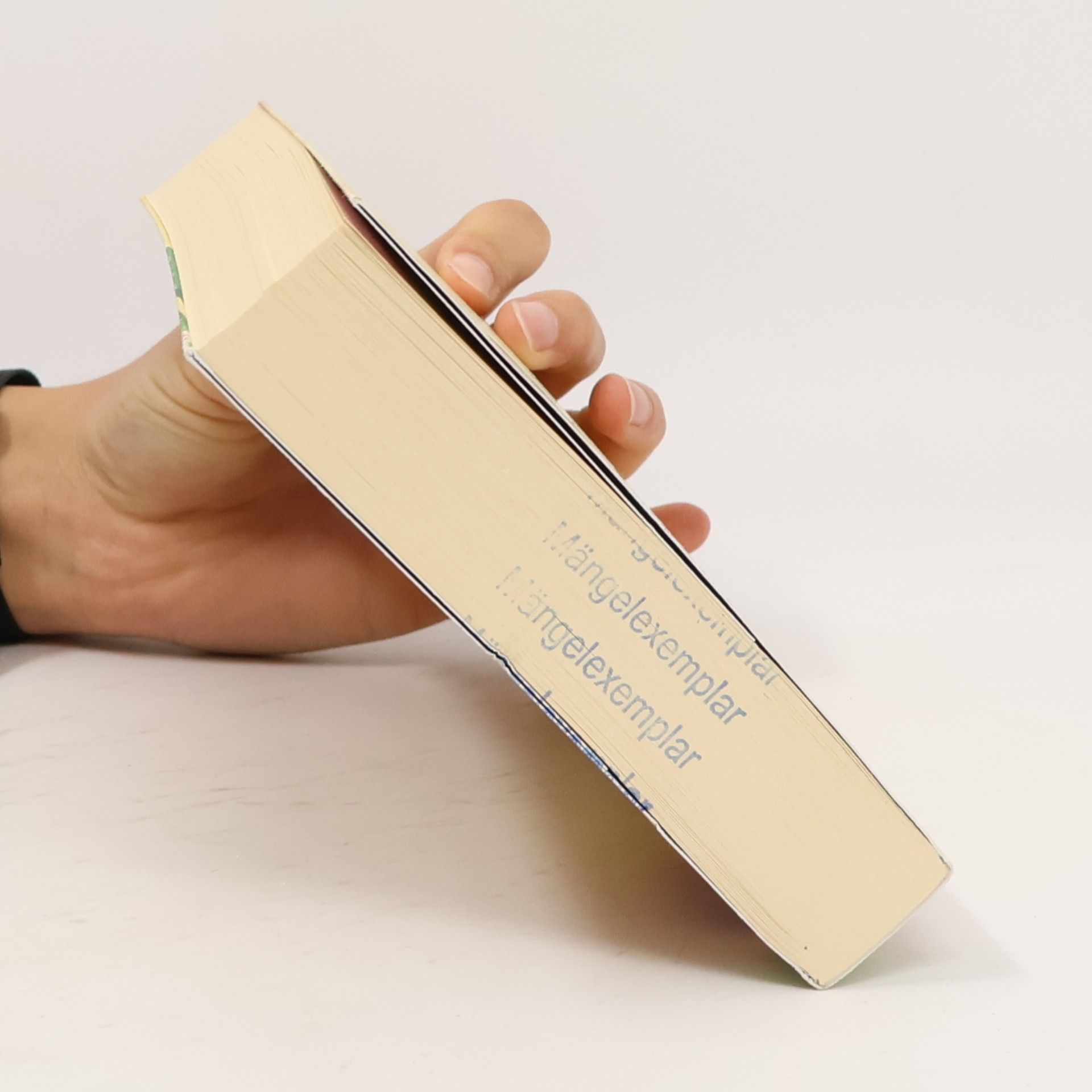 Katharina Herzog Das kleine Bücherdorf: Herbstleuchten
