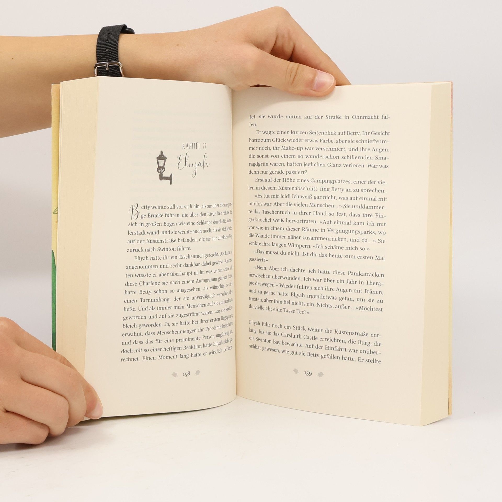 Katharina Herzog Das kleine Bücherdorf: Herbstleuchten