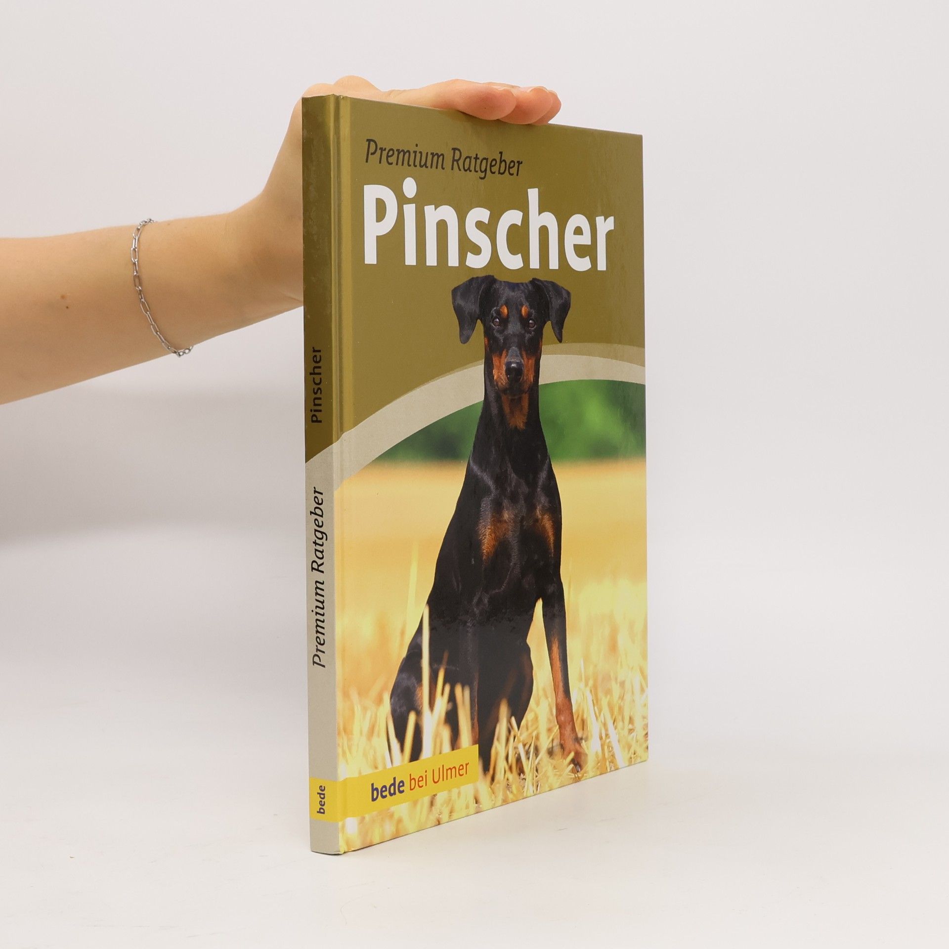 Annette Schmitt Pinscher