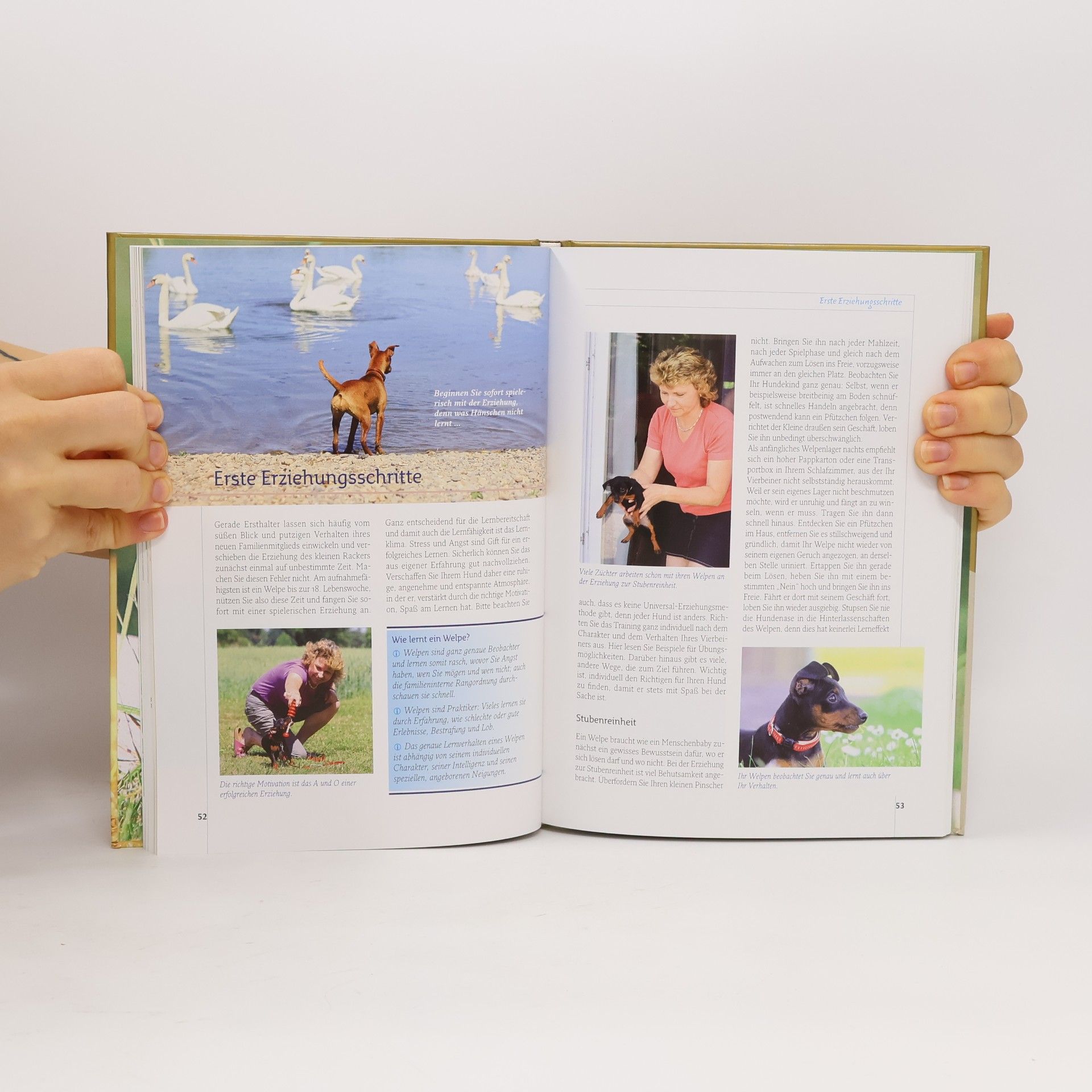 Annette Schmitt Pinscher