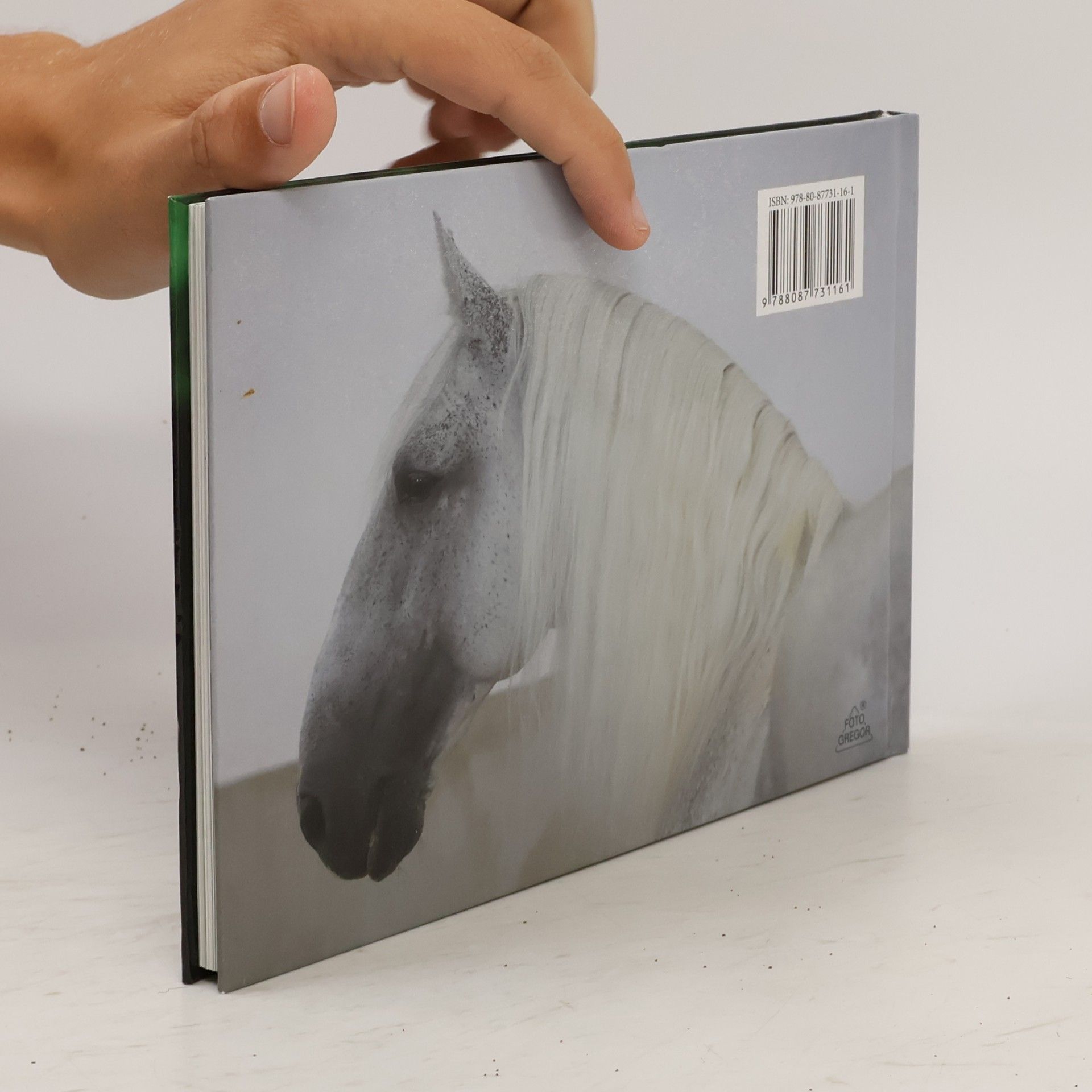 Marcela Slavíková Využití starokladrubského koně. The Old Kladruber horse and its uses
