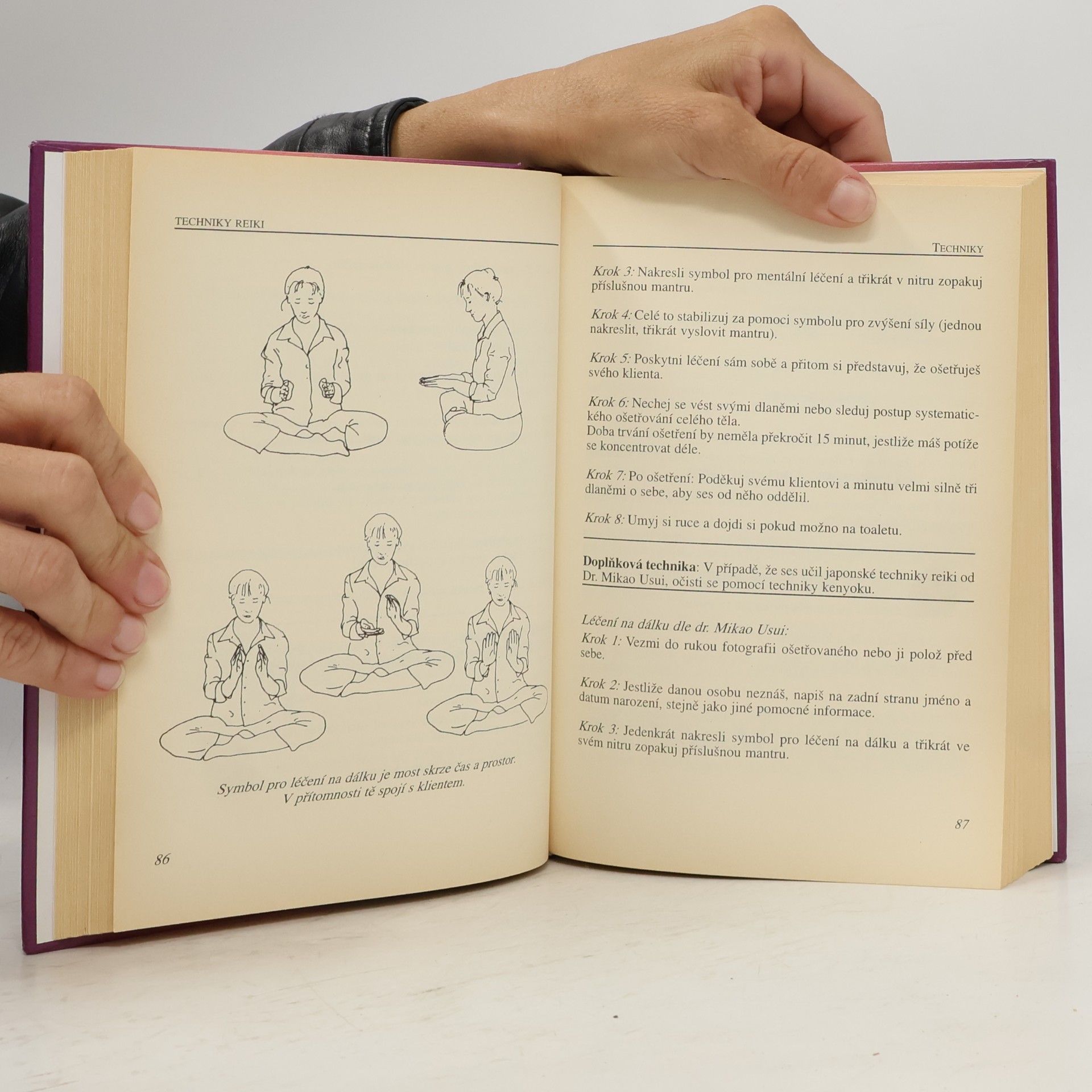 Walter Lübeck Techniky reiki: Základní kniha pro I., II. a III. stupeň