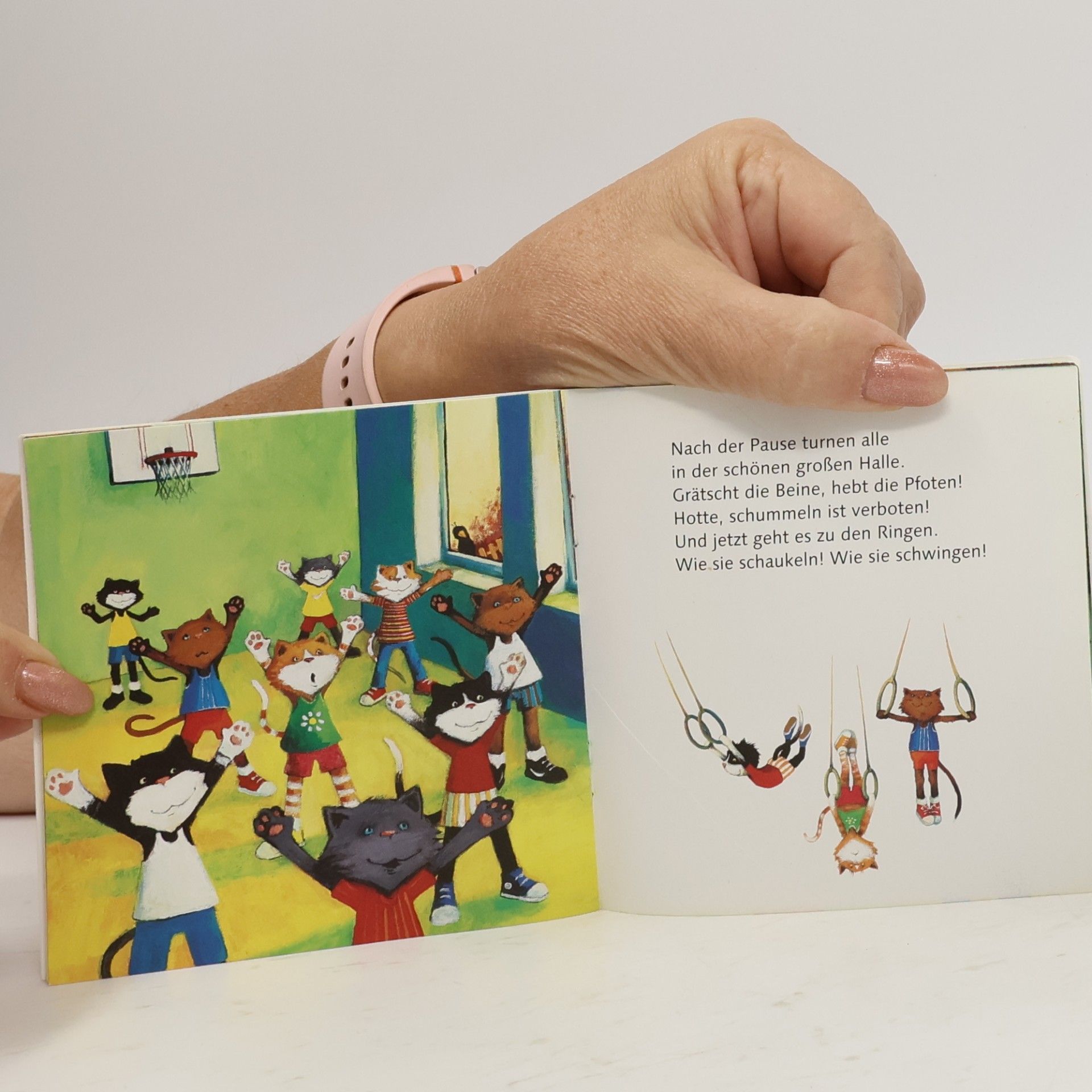Various authors Meine Büchervelt. Katzenjule in der Schule