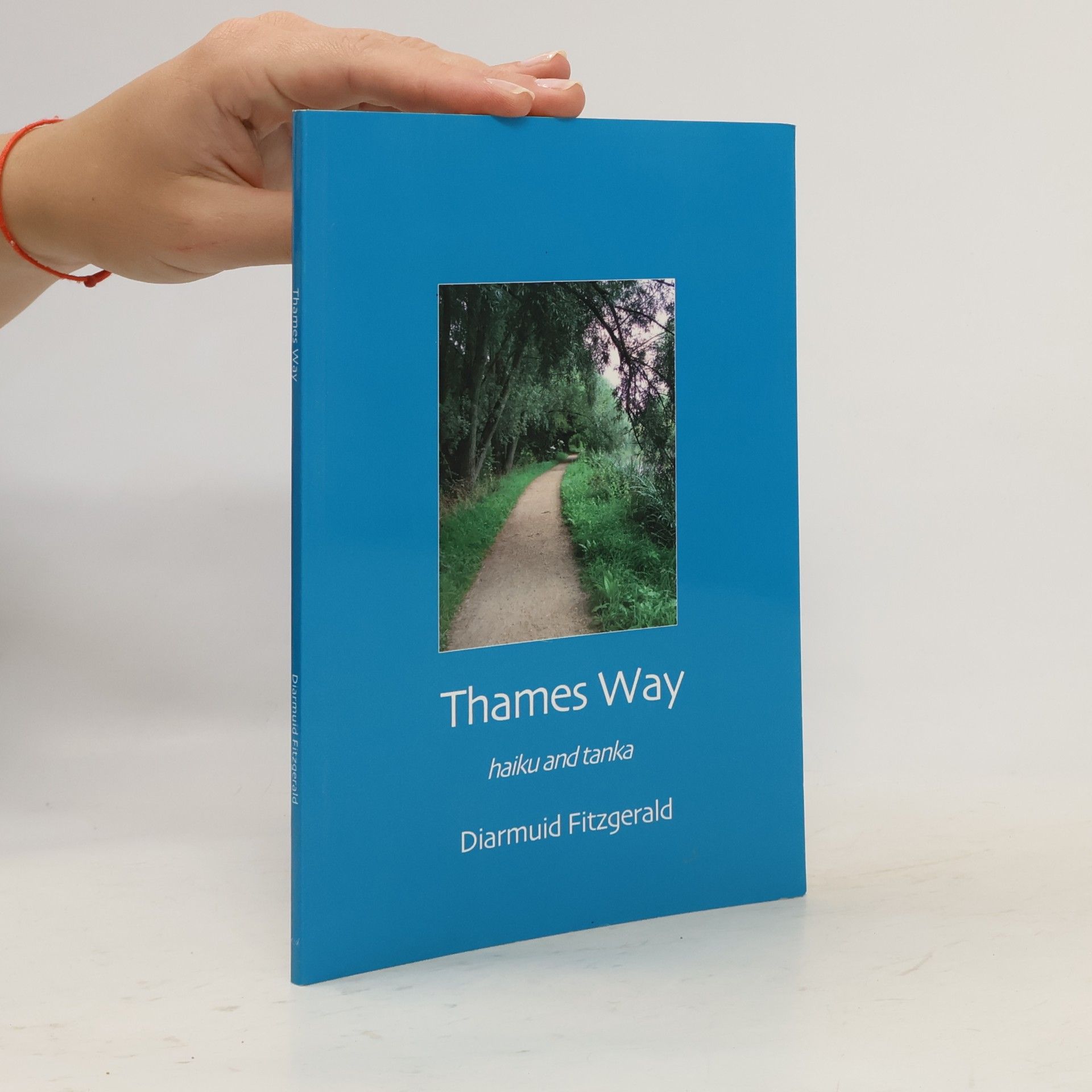 Diarmuid Fitzgerald Thames Way