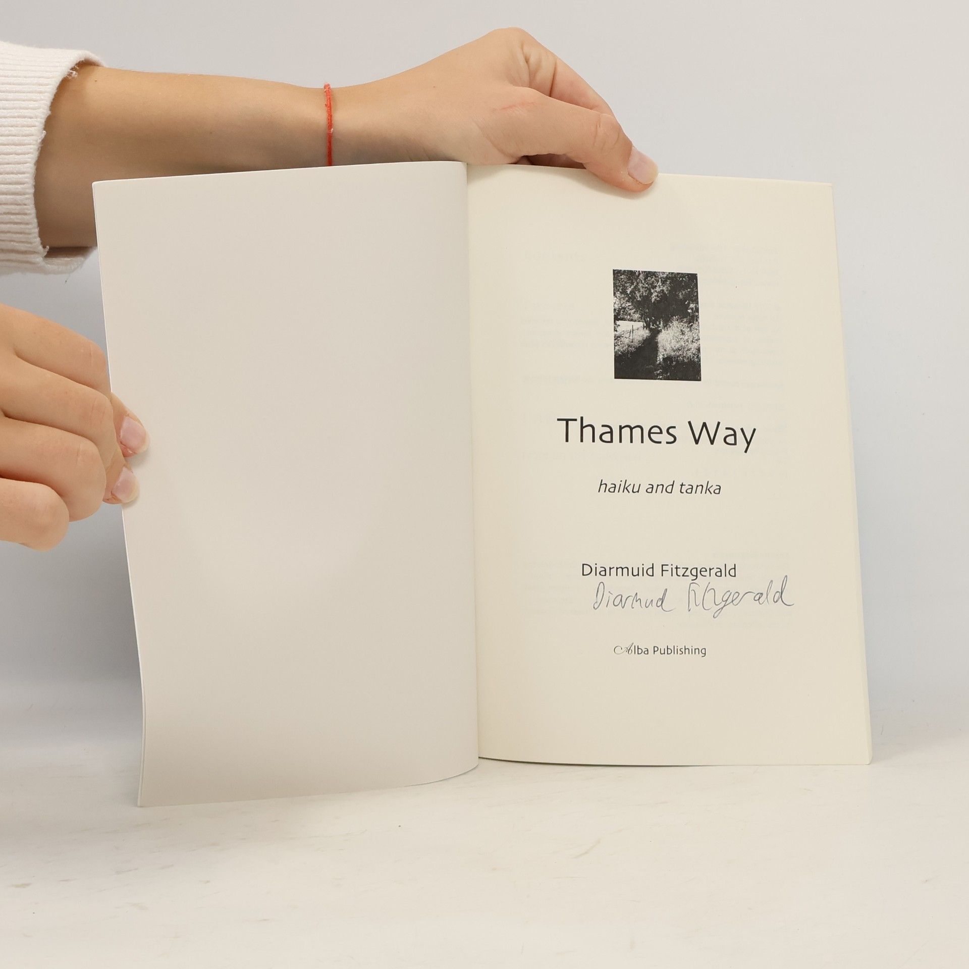 Diarmuid Fitzgerald Thames Way