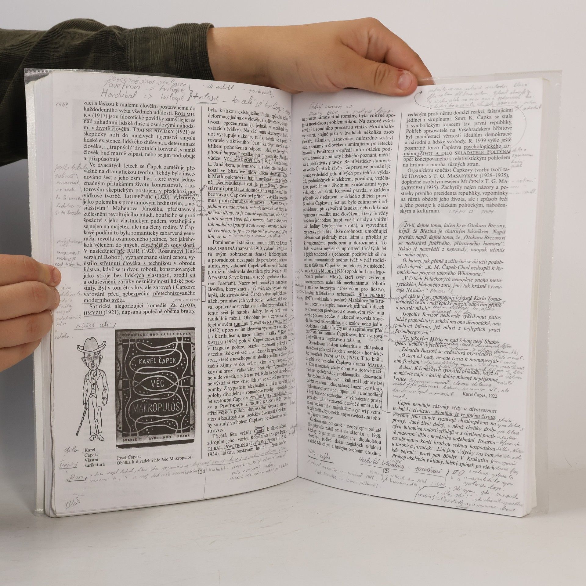 Bohuš Balajka Přehledné dějiny literatury. II