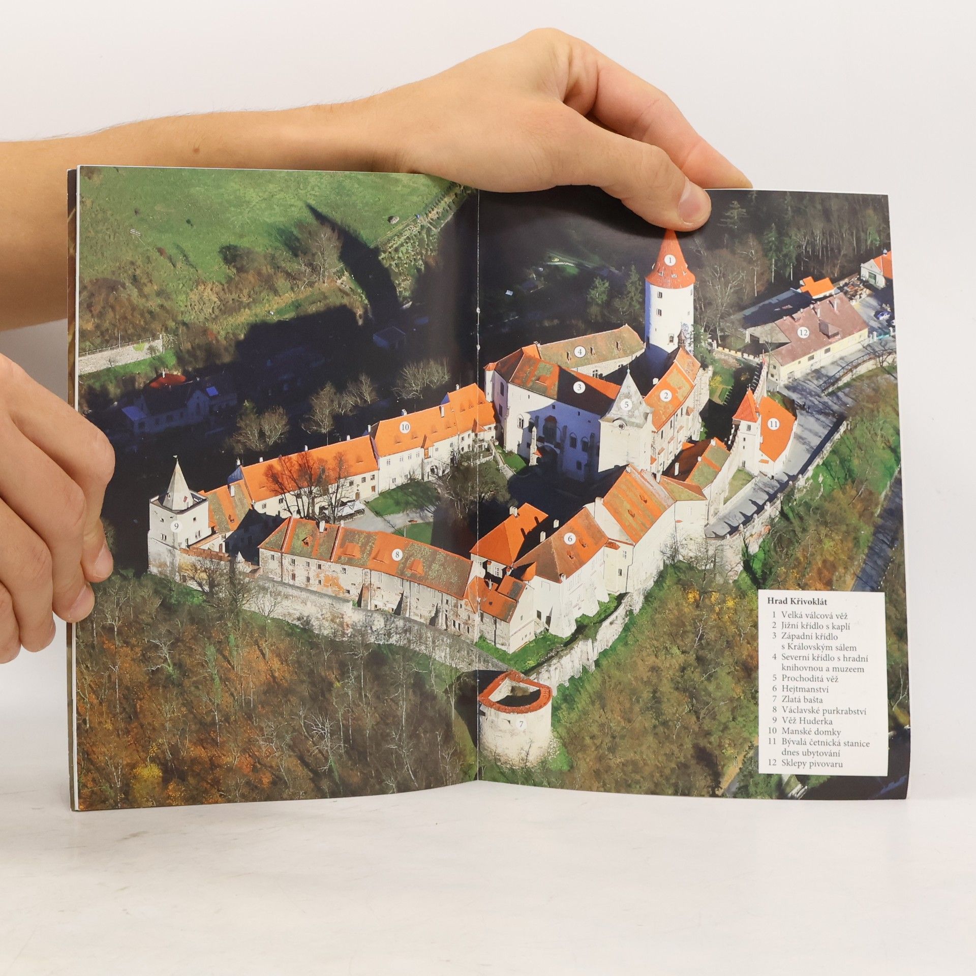 Květa Křížová Hrad Křivoklát