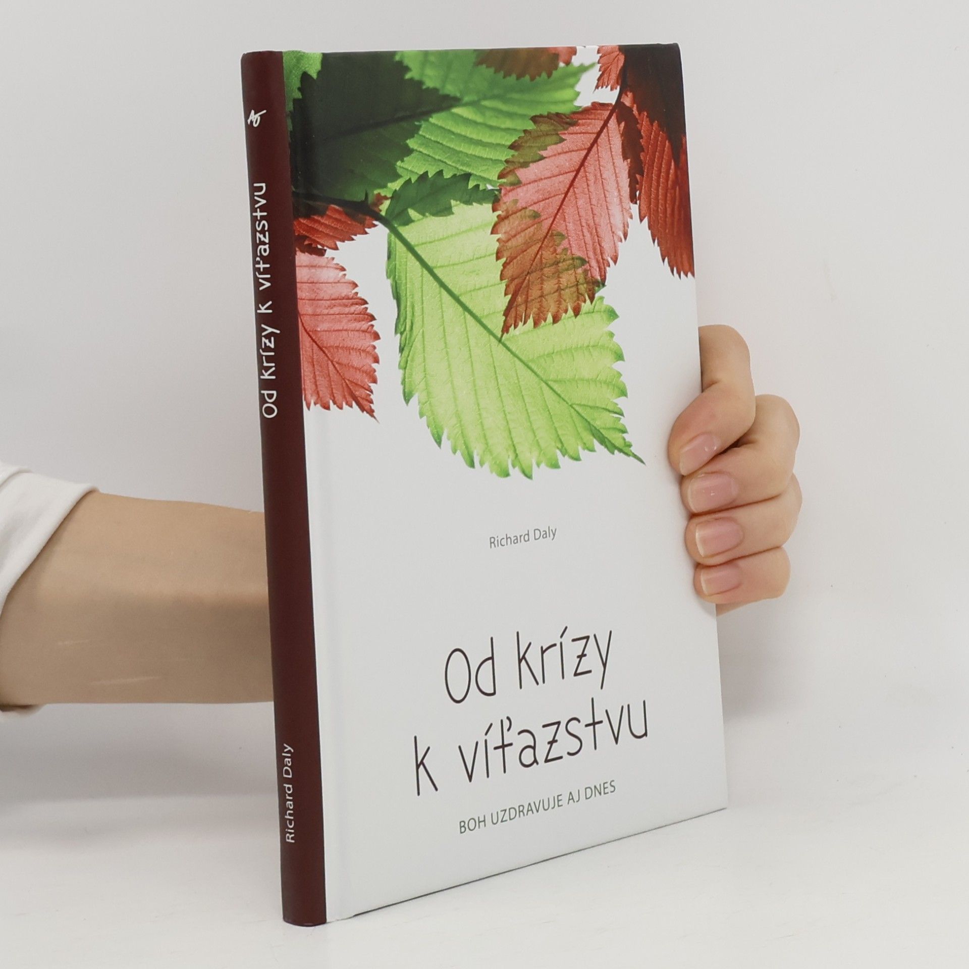 Richard Daly Od krízy k víťazstvu