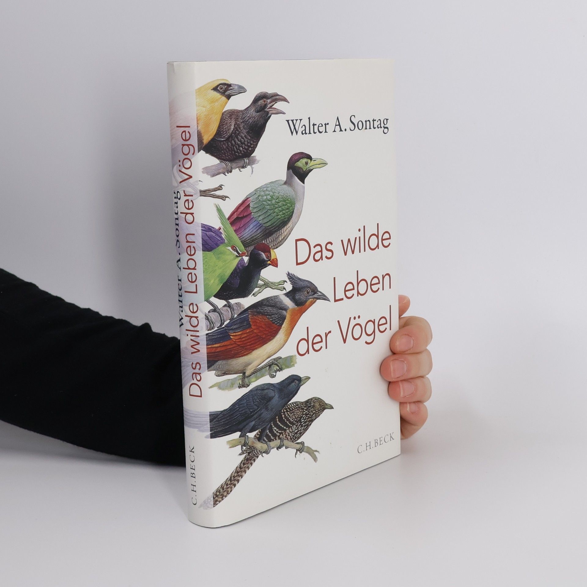 Walter A. Sontag Das wilde Leben der Vögel